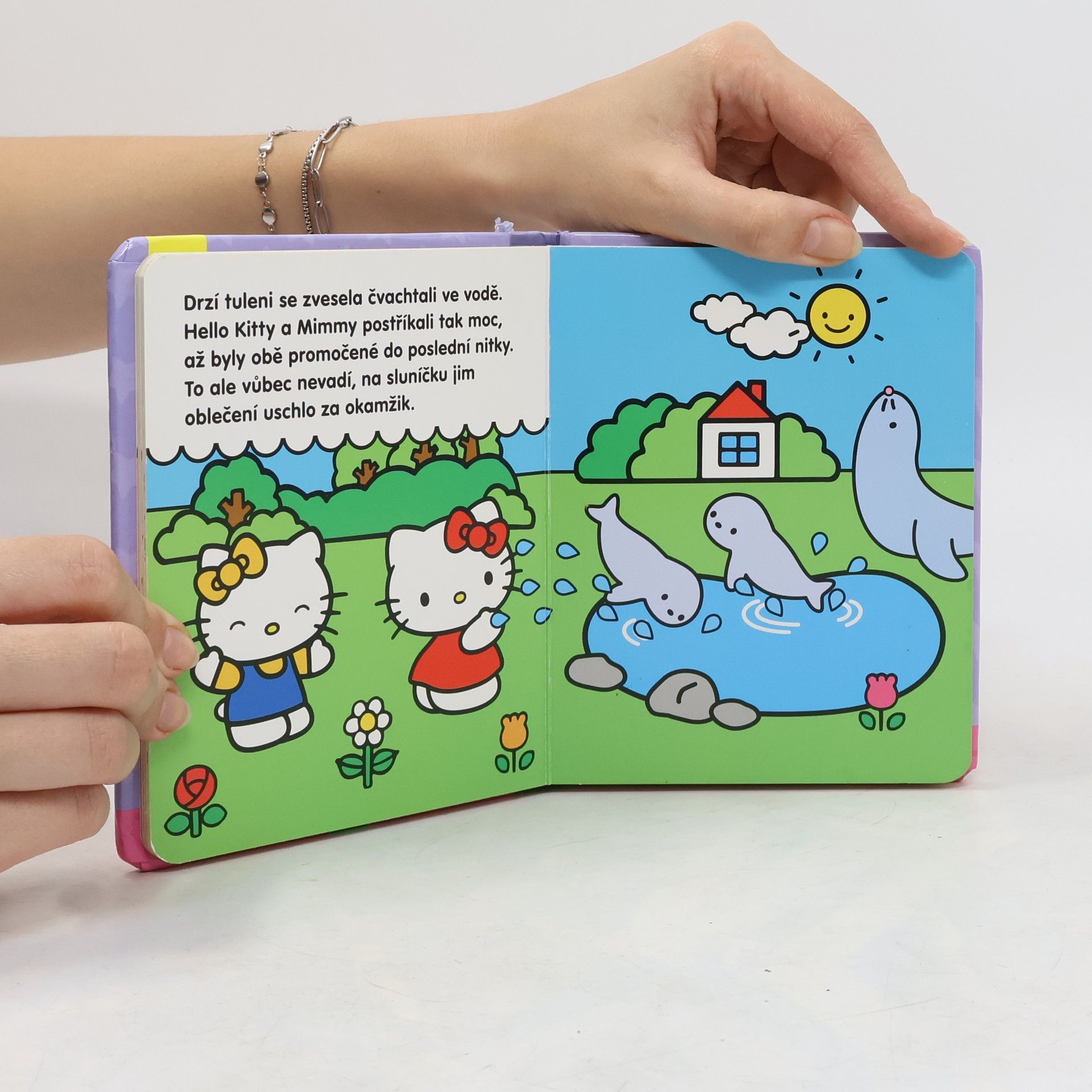 Various authors Hello Kitty: Mein Geburtstag