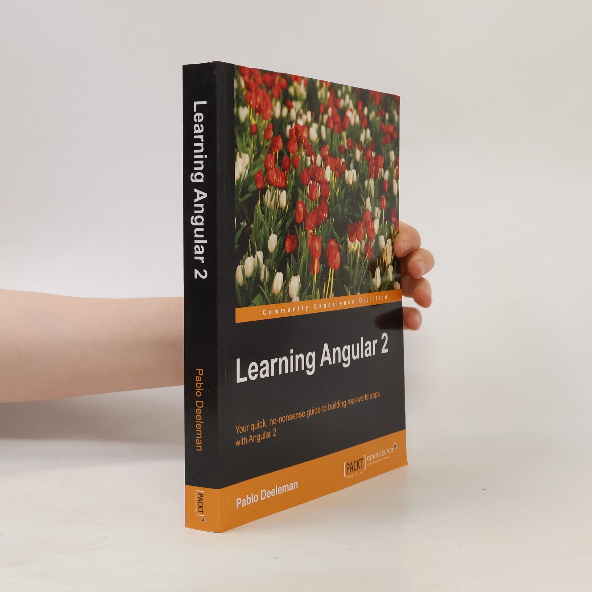 Pablo Deeleman Learning Angular 2