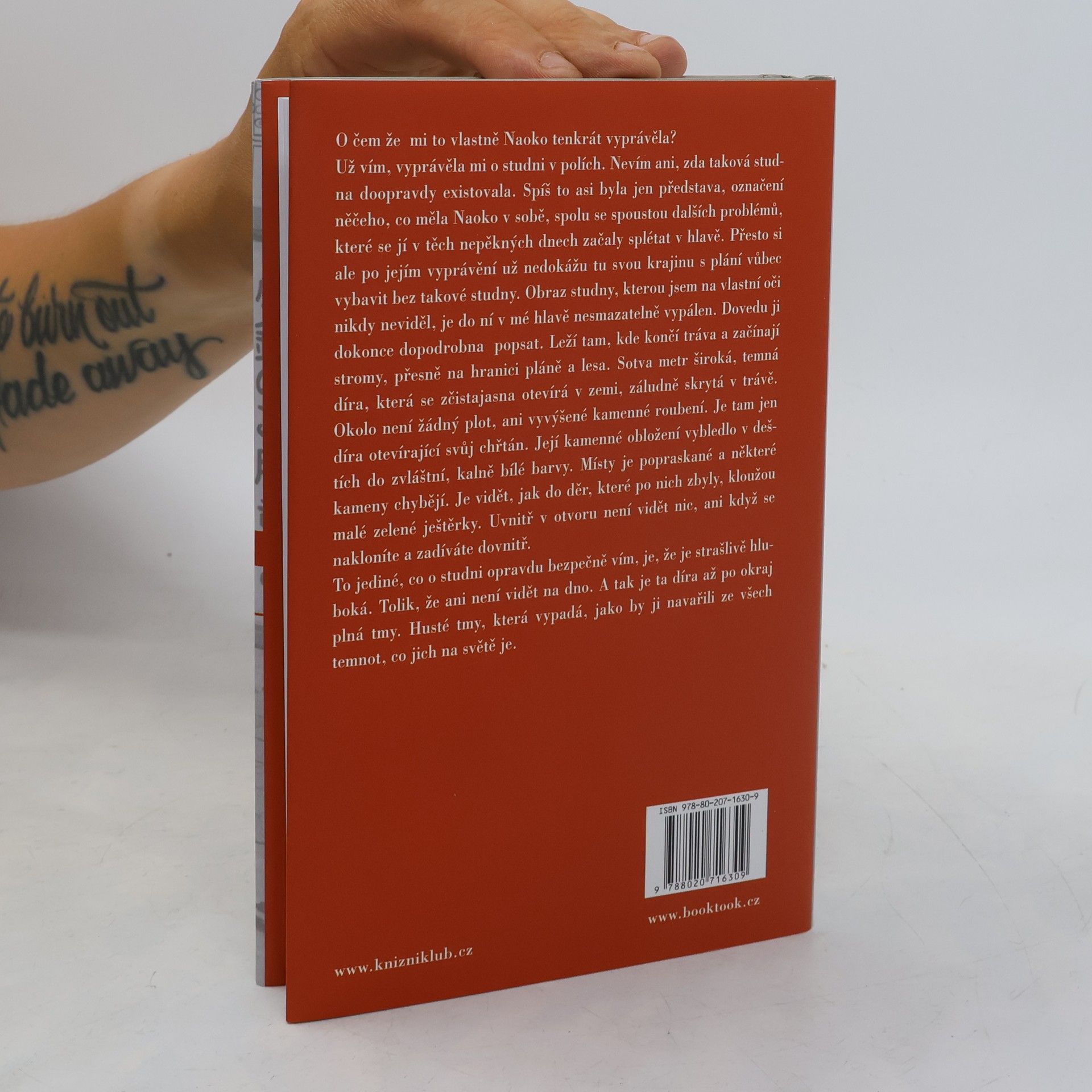 Haruki Murakami Norské dřevo