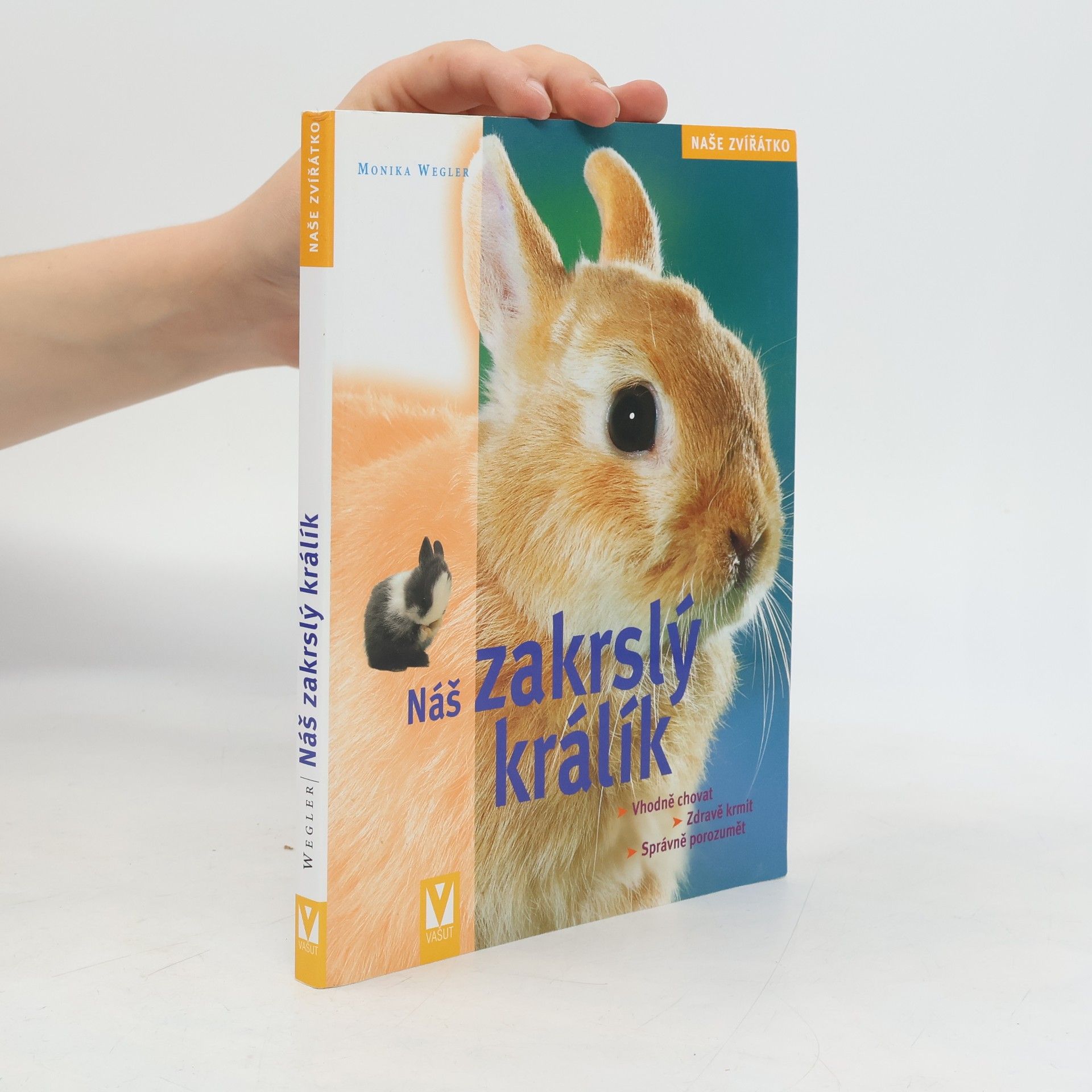 Náš zakrslý králík