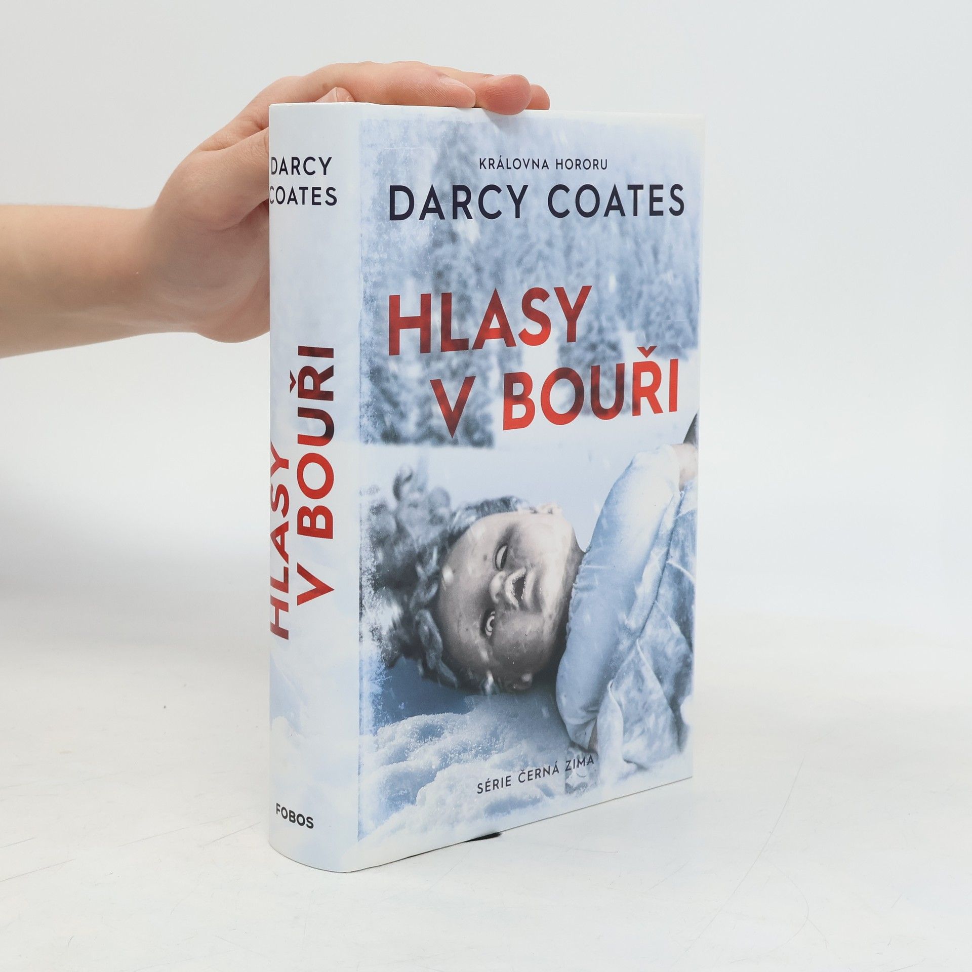 Darcy Coates Hlasy v bouři