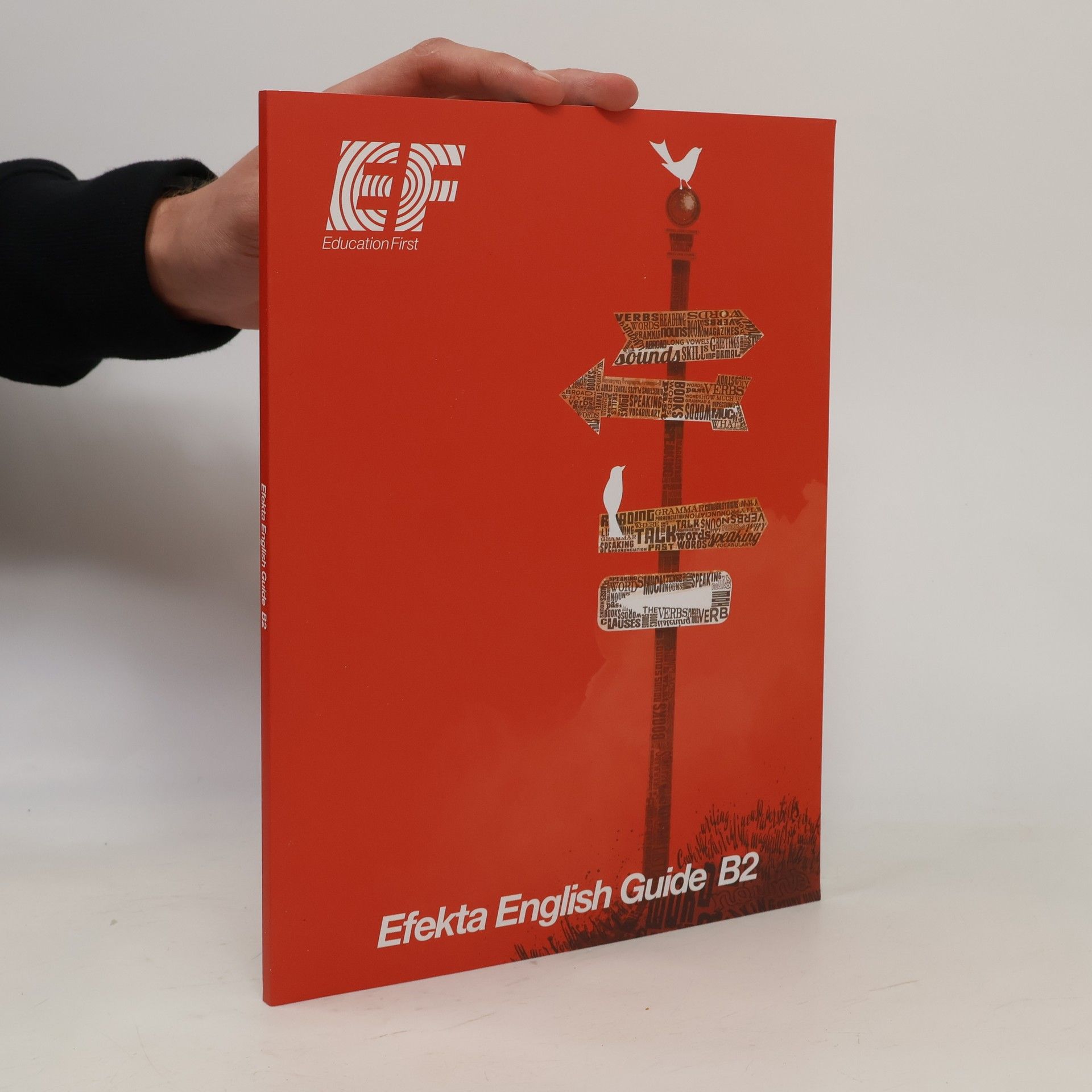 Kolektiv autorů Efekta English Guide B2