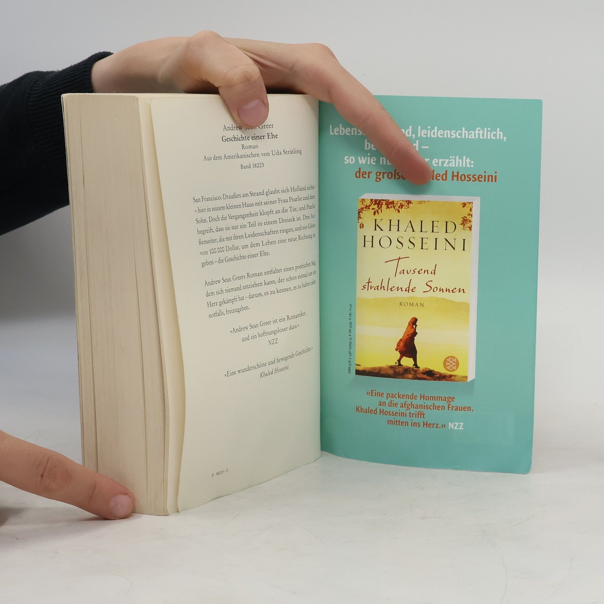 Khaled Hosseini Traumsammler