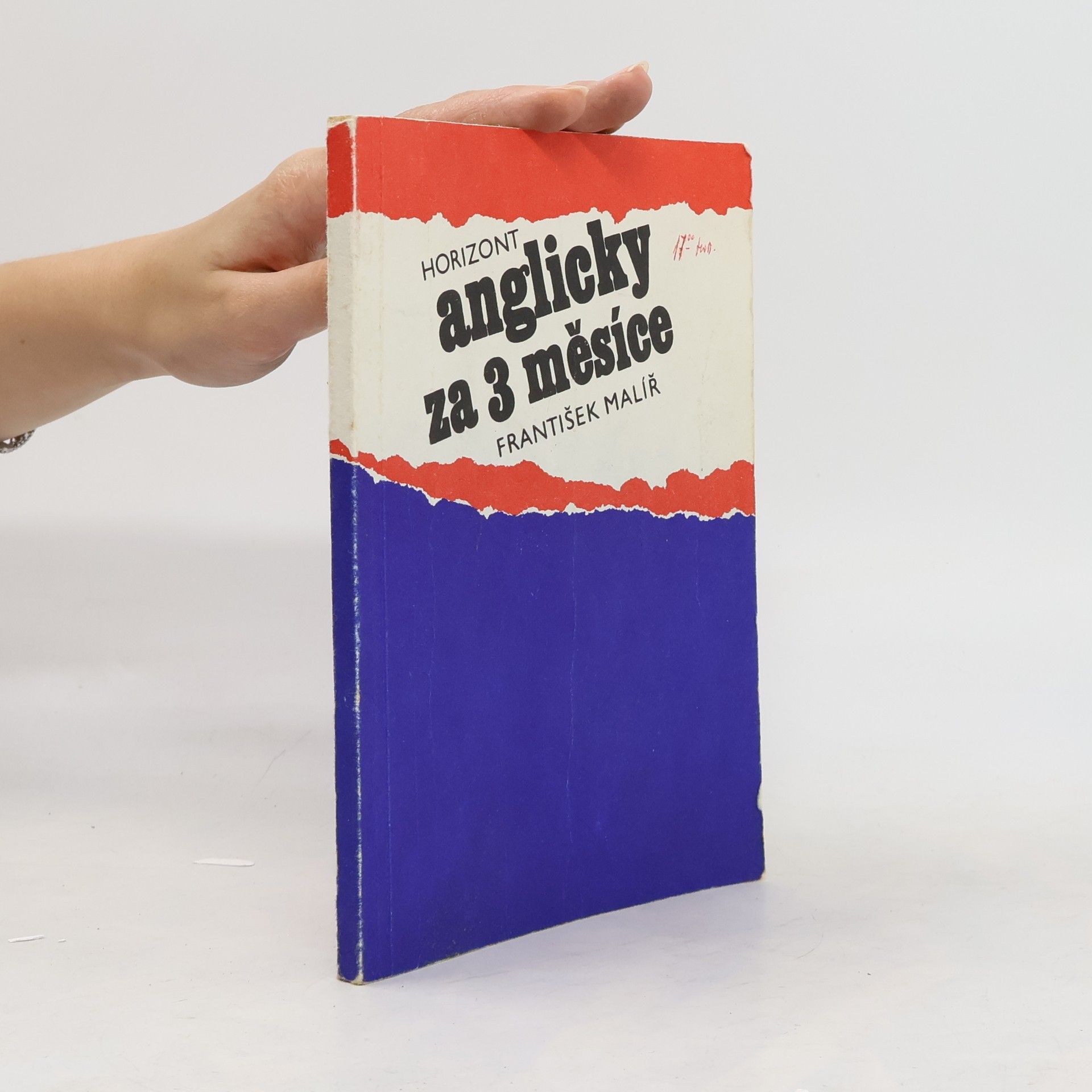 František Malíř Anglicky za 3 měsíce