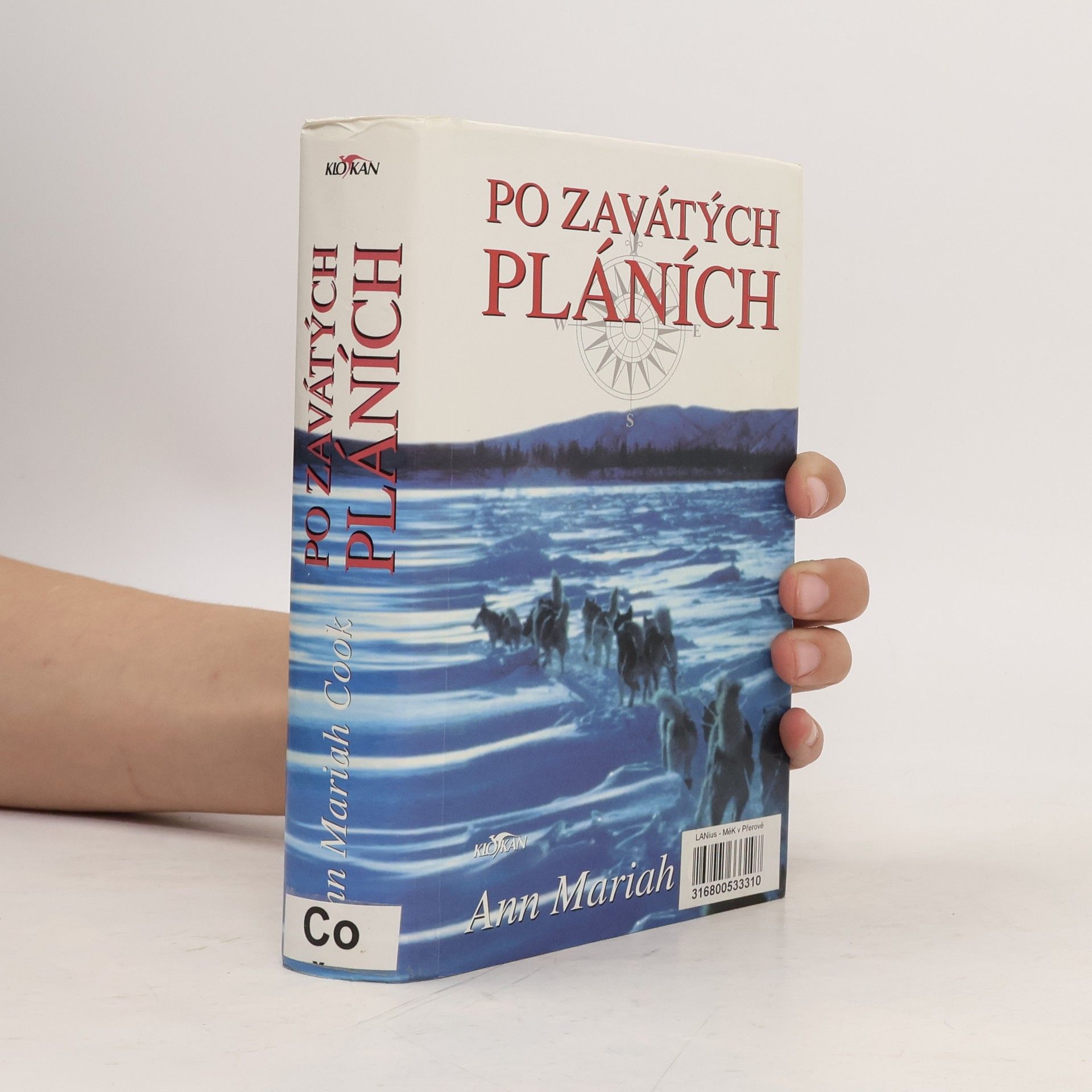 Ann Mariah Cook Po zavátých pláních
