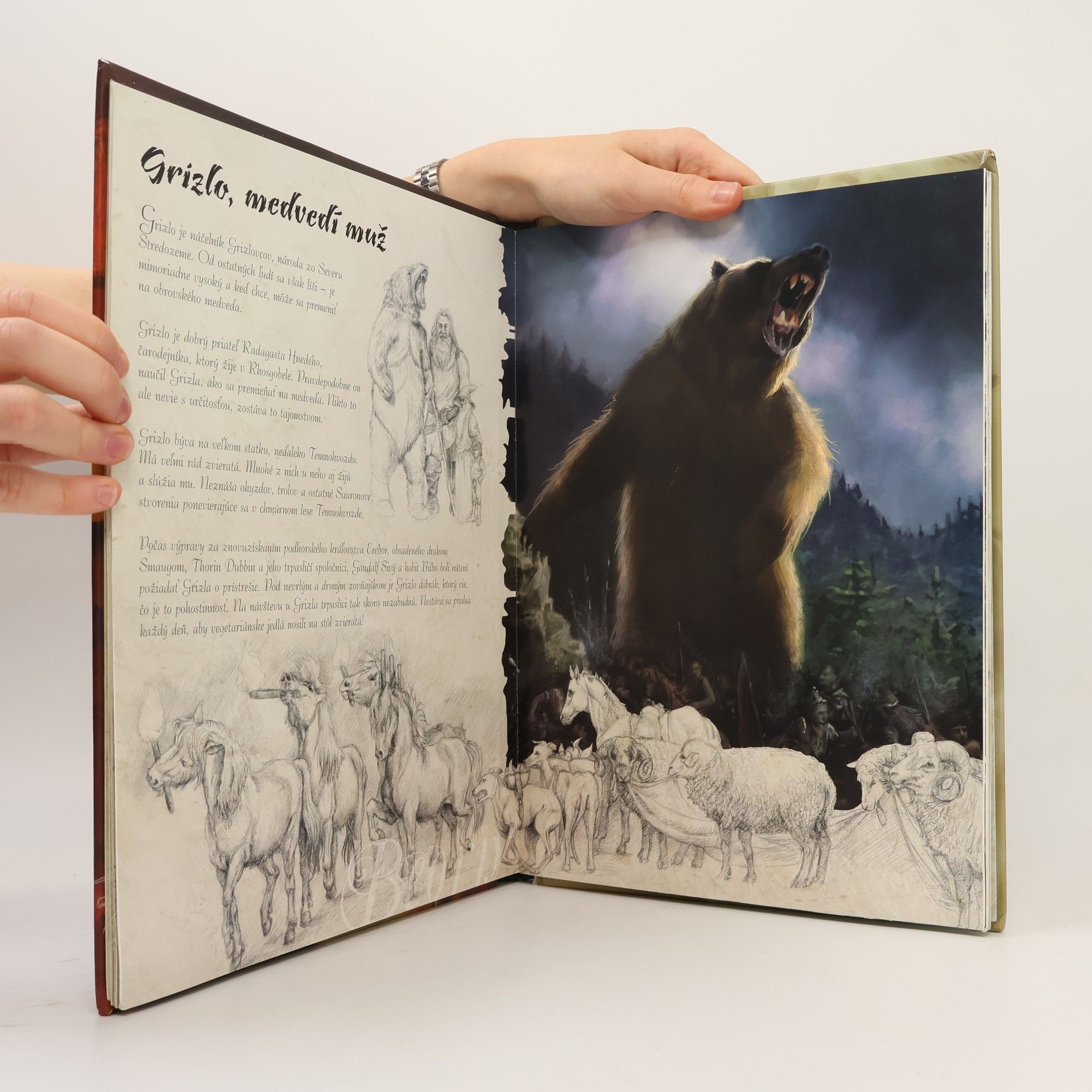 Édouard Kloczko Tolkien a jeho čarovný svet