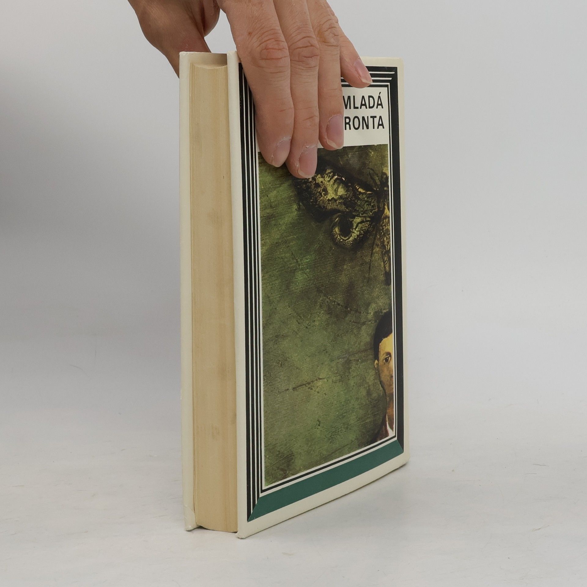 Charles Dickens Oliver Twist