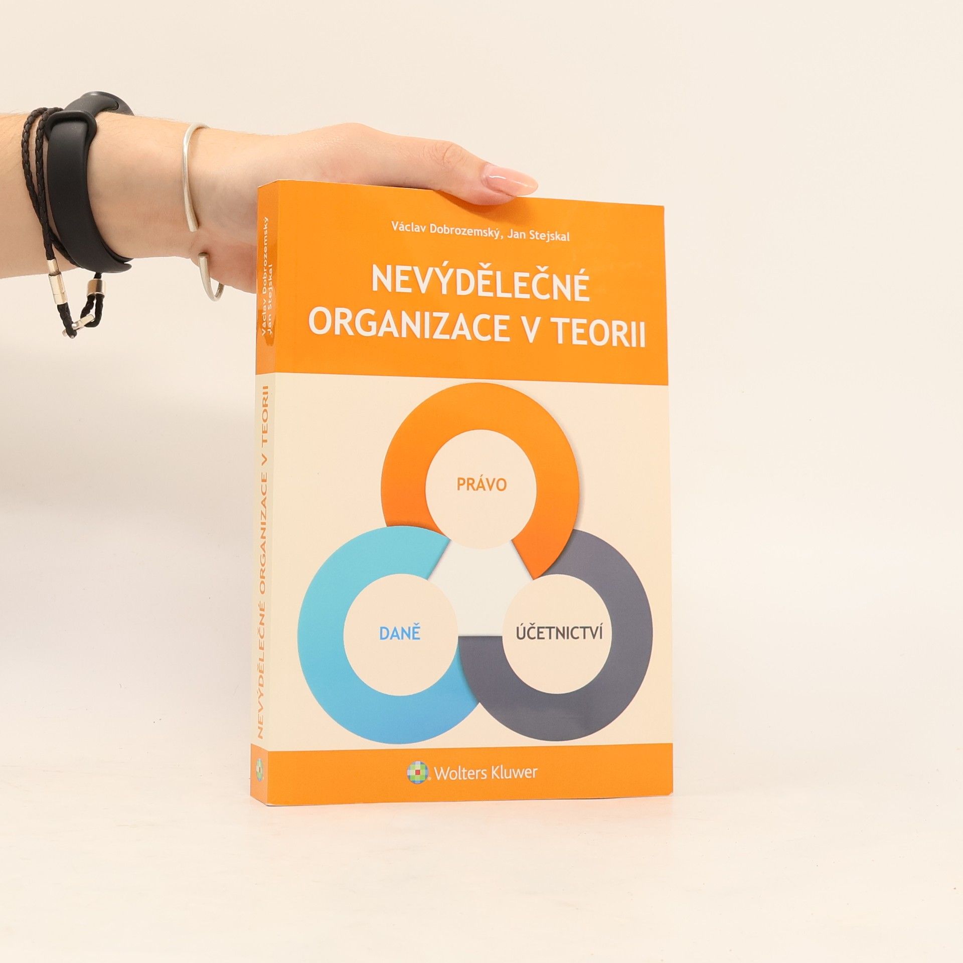 Nevýdělečné organizace v teorii