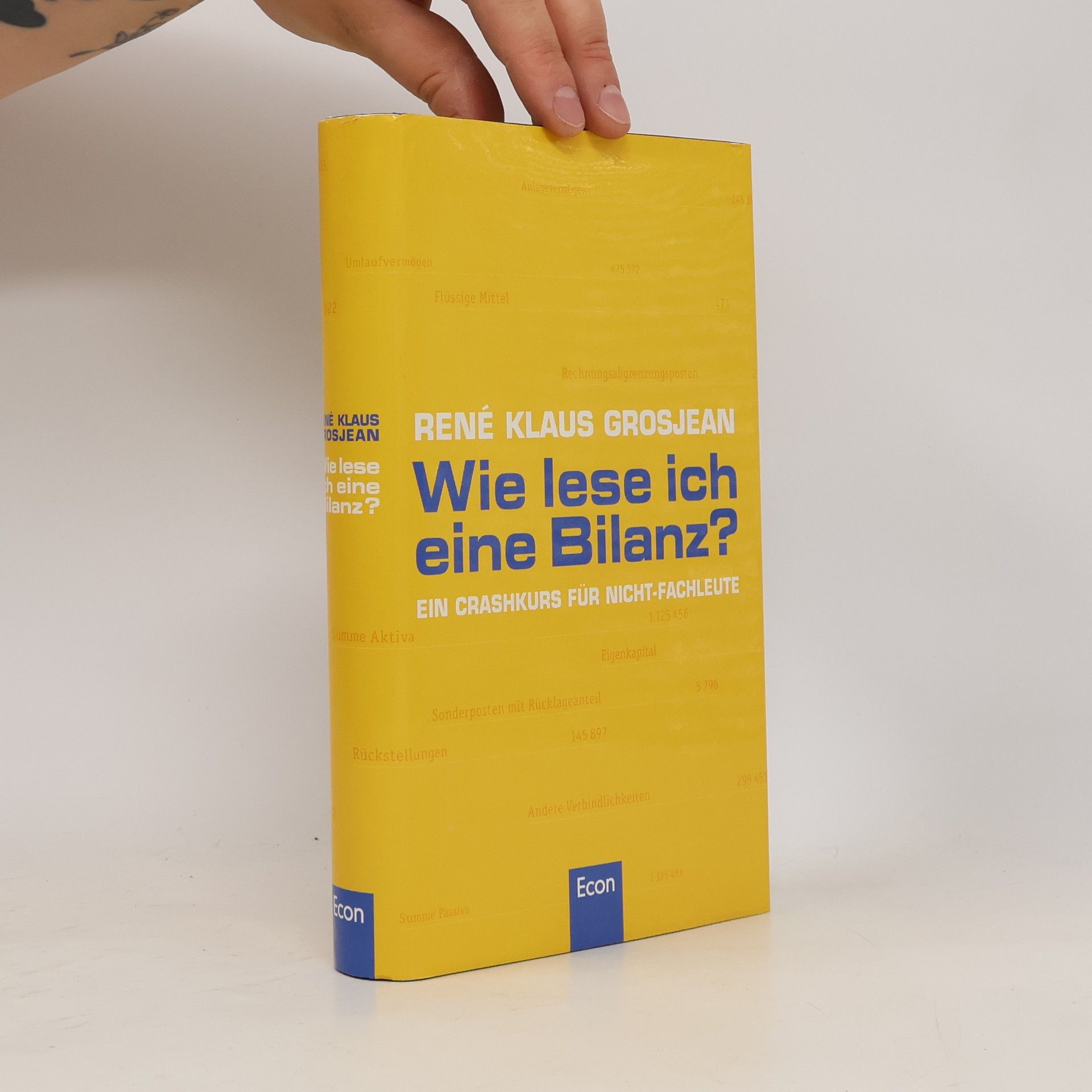 René Klaus Grosjean Wie lese ich eine Bilanz?