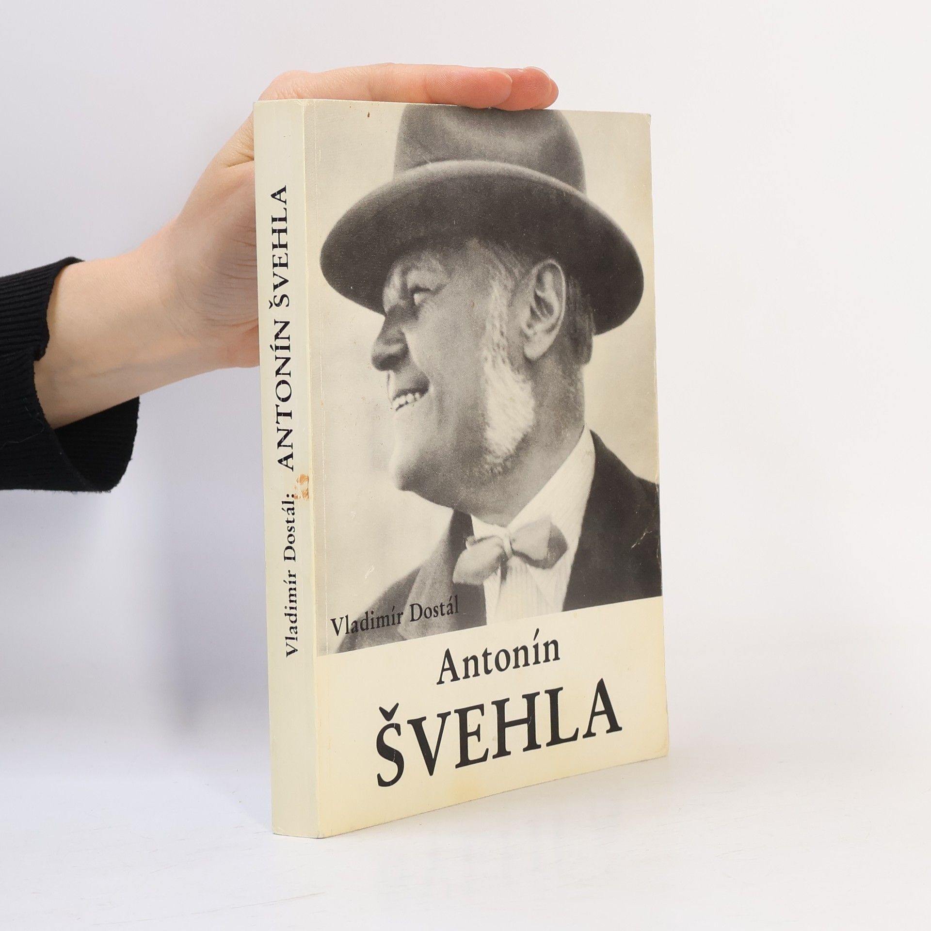 Dostál Vladimír Antonín Švehla. Profil československého státníka