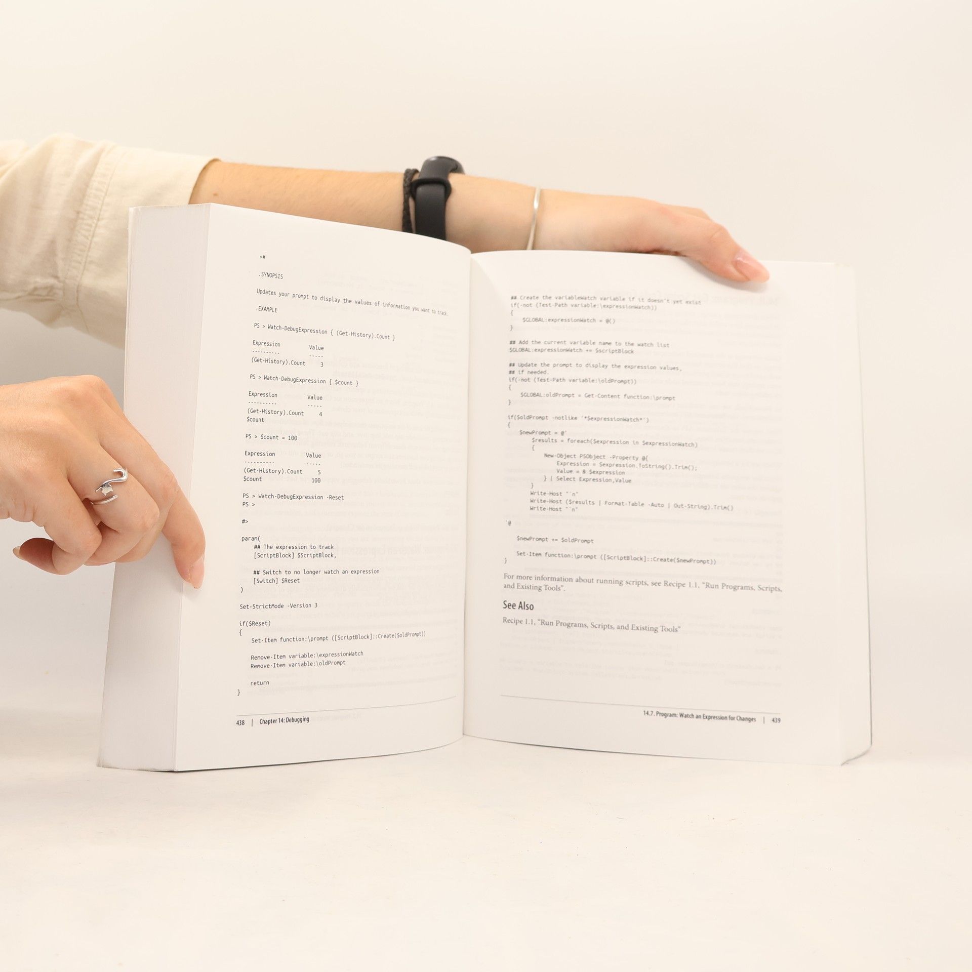 Lee Holmes Windows PowerShell Cookbook