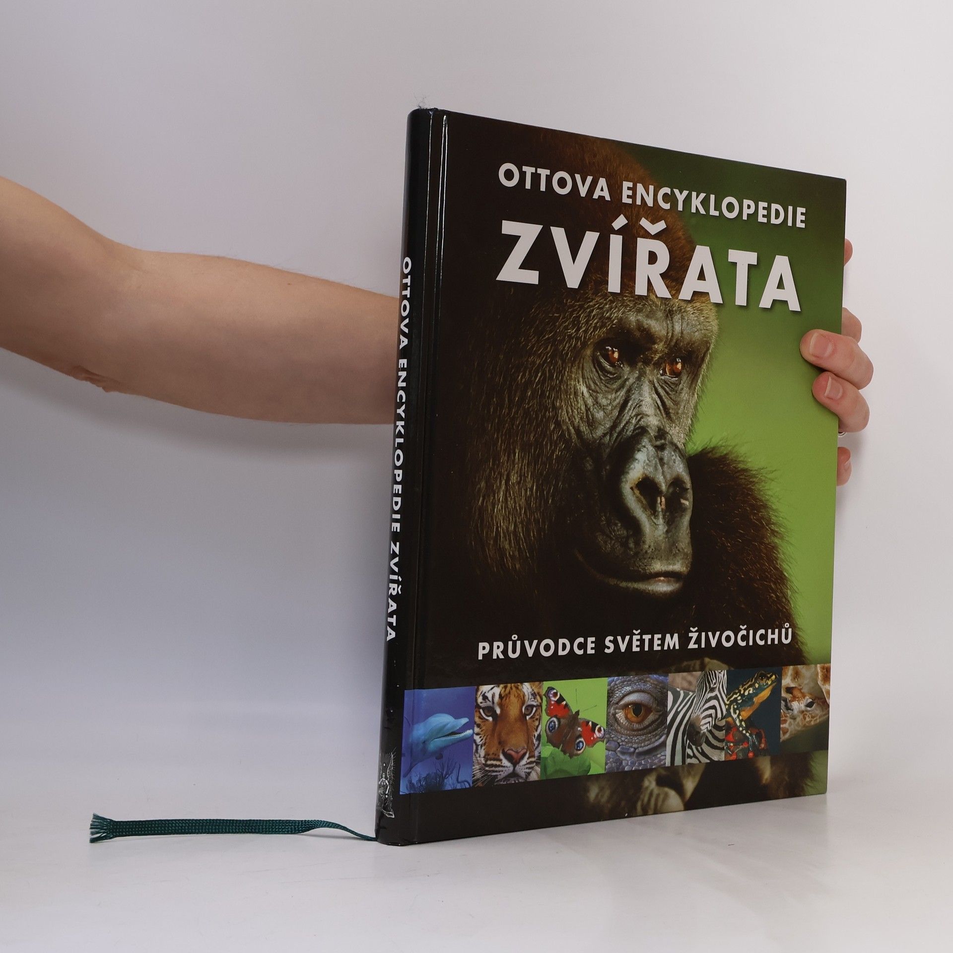Romana Anděrová Zvířata : Ottova encyklopedie : průvodce světem živočichů