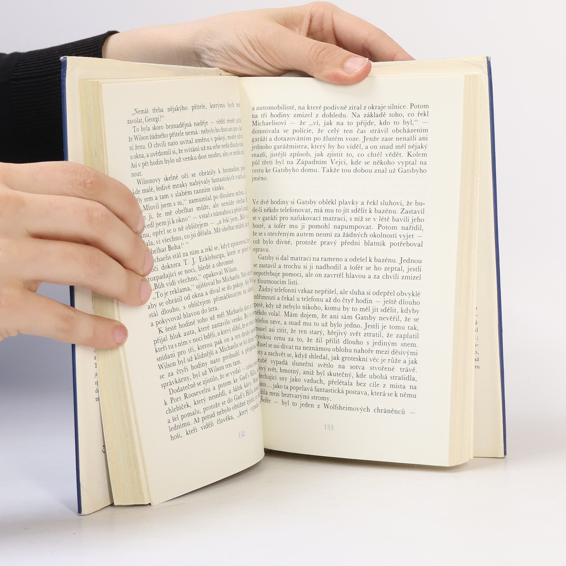 F. Scott Fitzgerald Velký Gatsby. Poslední magnát