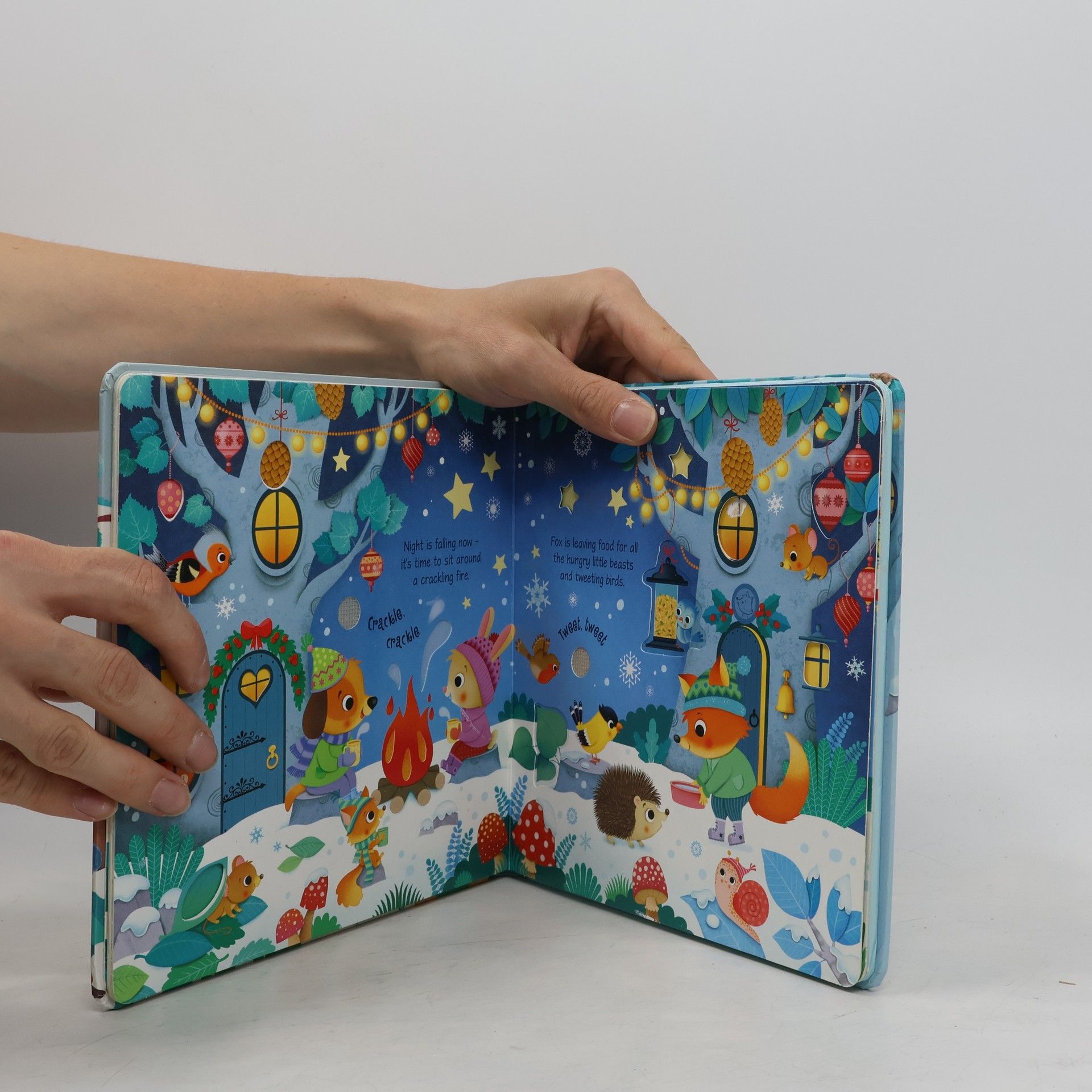 Sam Taplin Winter Wonderland Sound Book