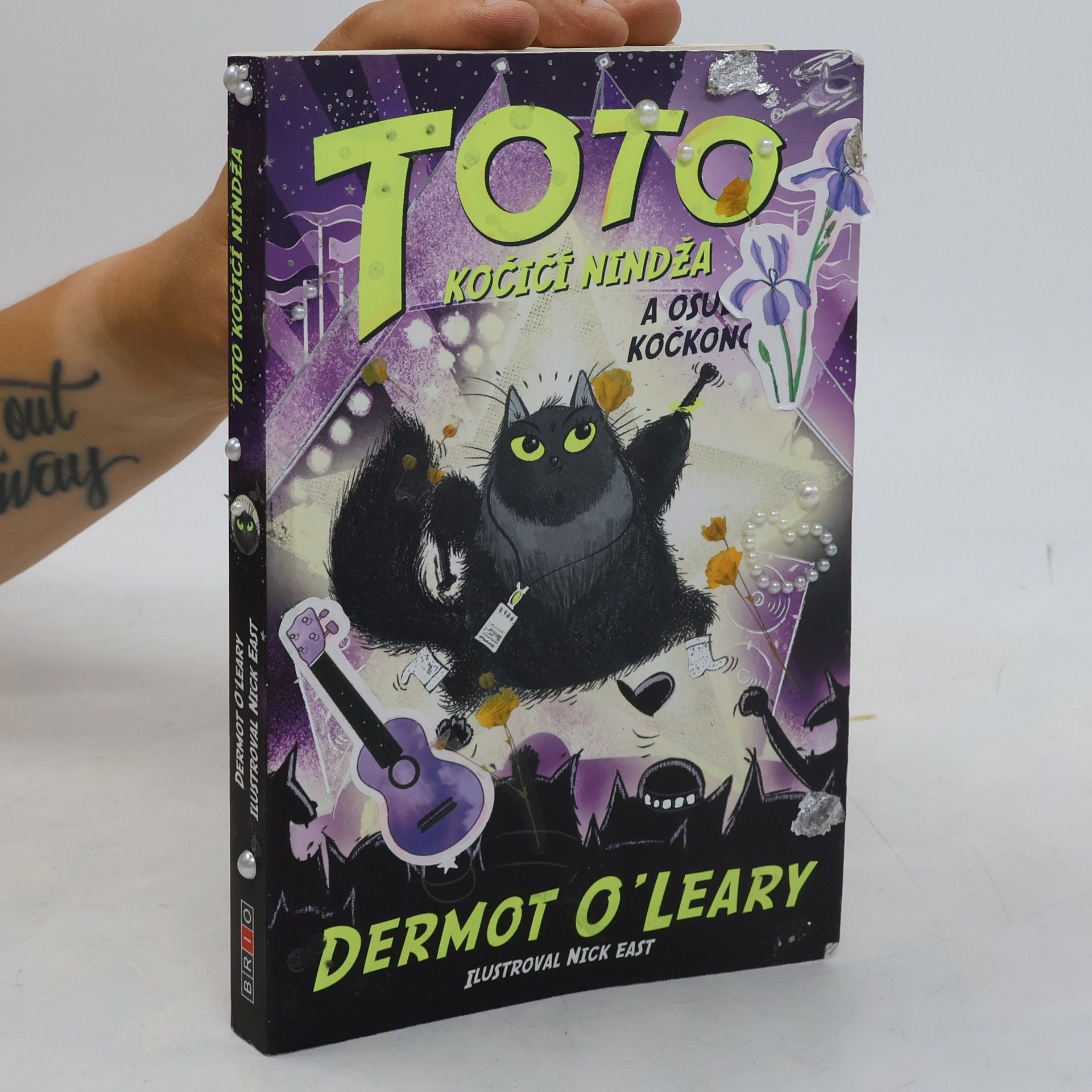 Dermot O\'Leary Toto kočičí nindža a osudový kočkoncert