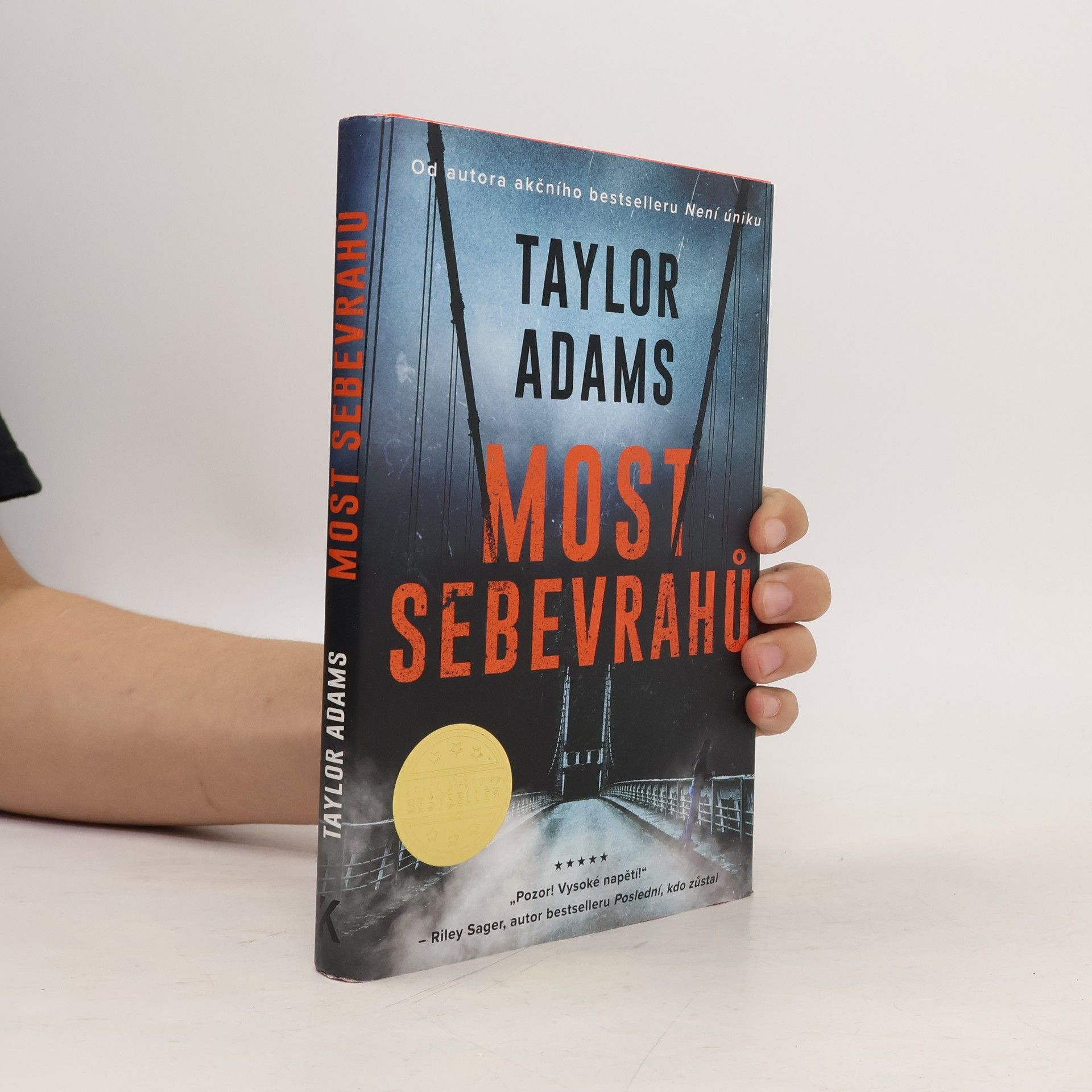 Taylor Adams Most sebevrahů