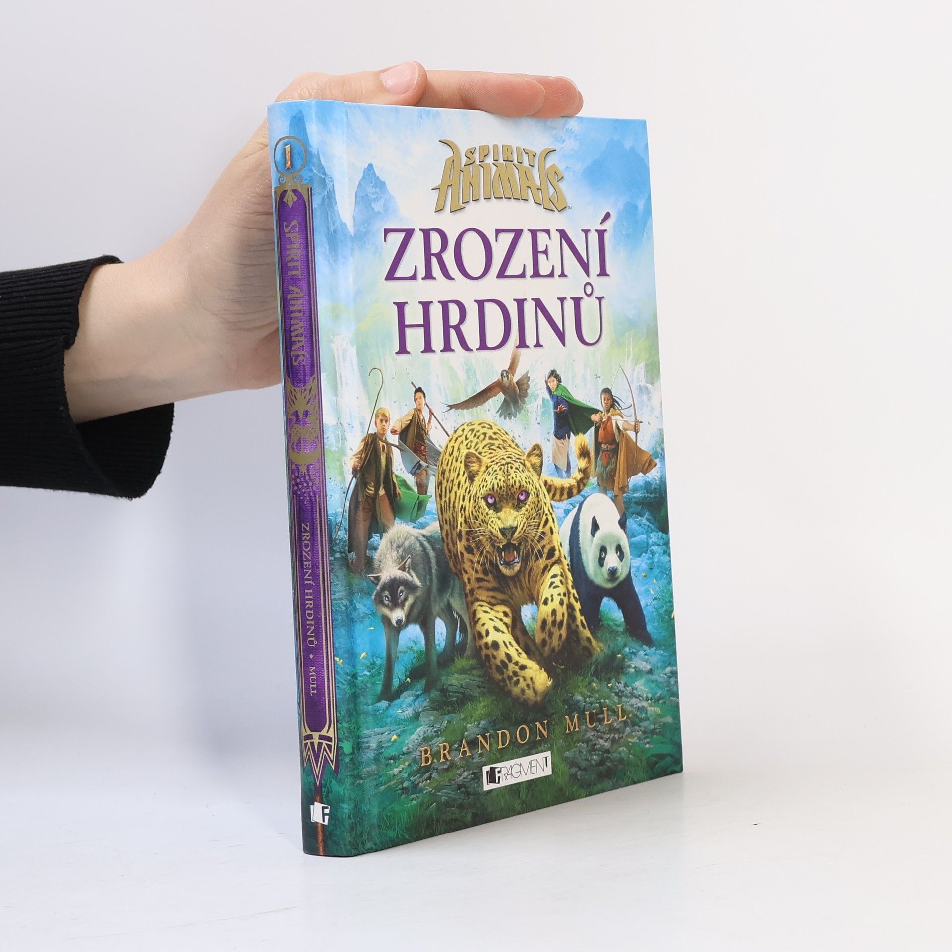Brandon Mull Zrození hrdinů