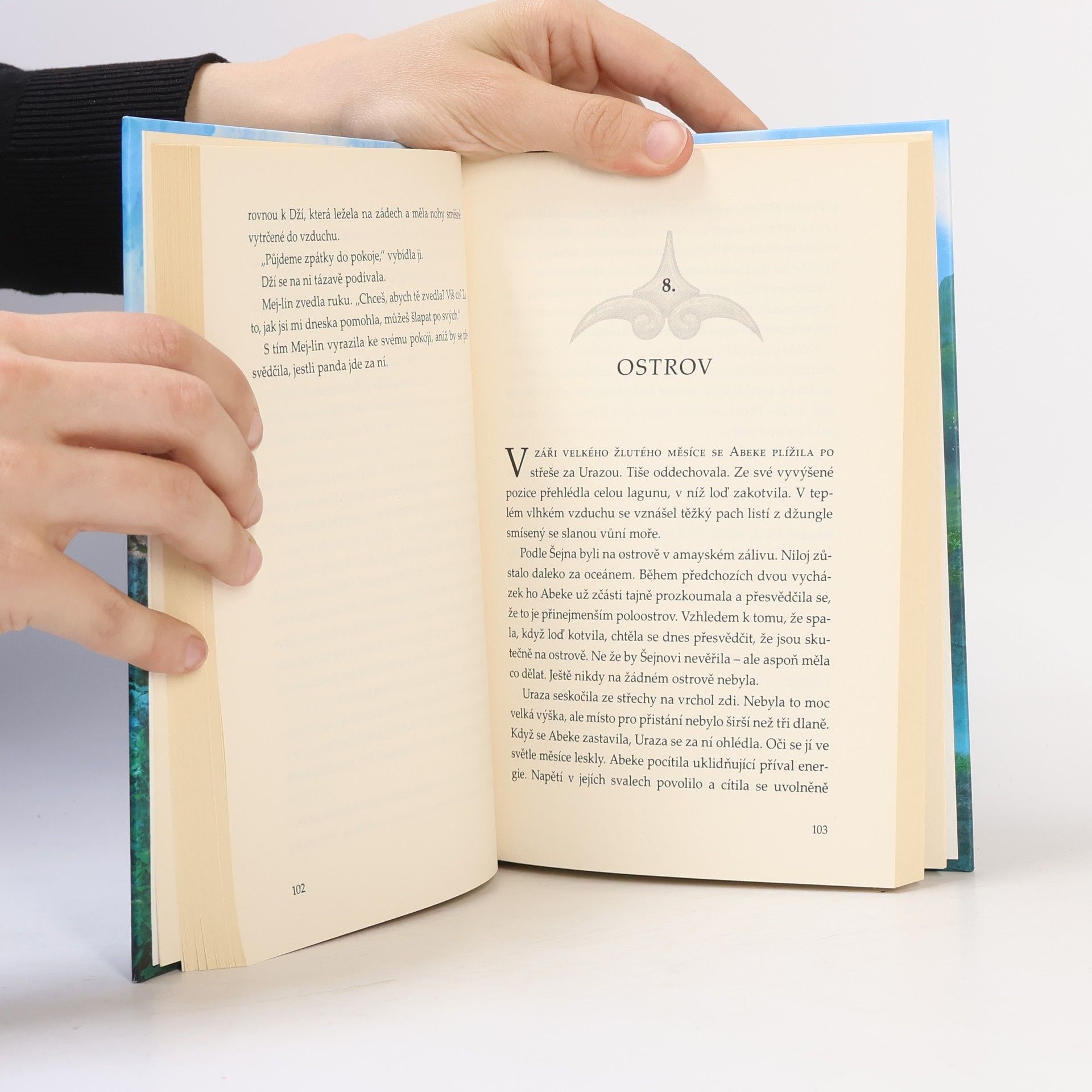 Brandon Mull Zrození hrdinů