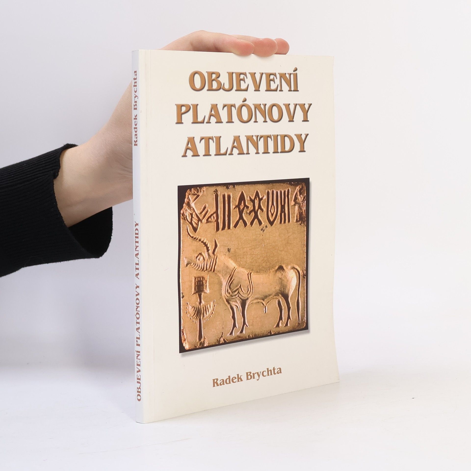 Radek Brychta Objevení Platónovy Atlantidy