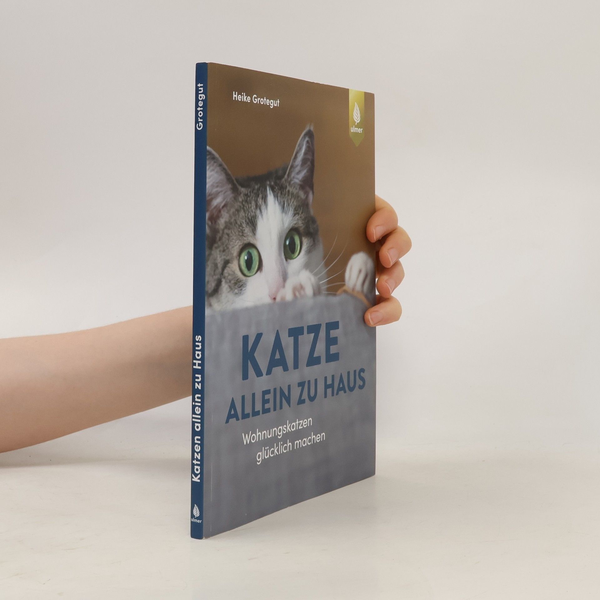 Heike Grotegut Katze allein zu Haus