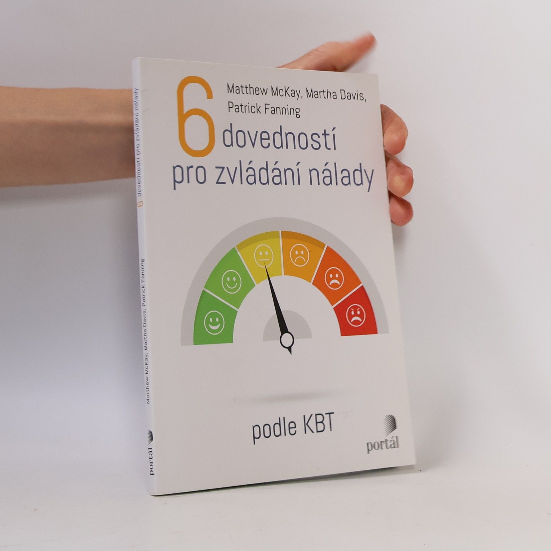 Patrick Fanning 6 dovedností pro zvládání nálady : podle KBT