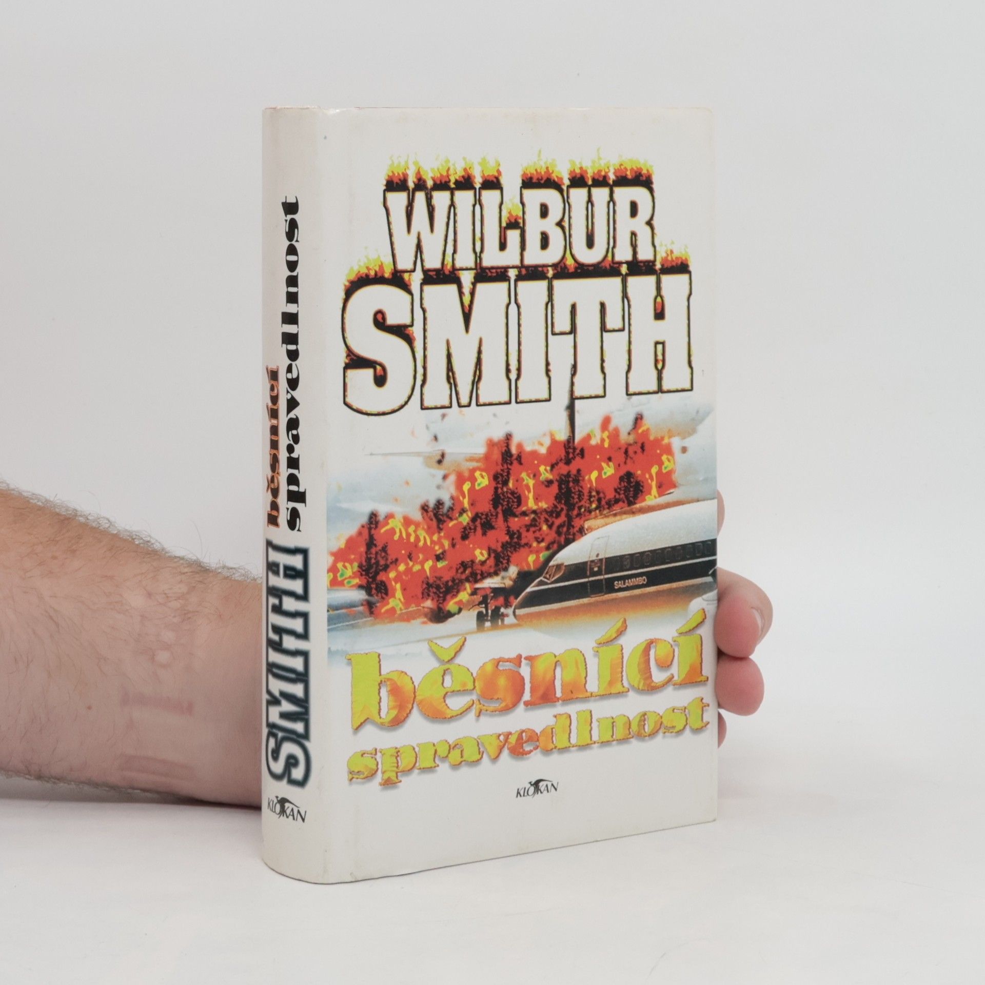 Wilbur A. Smith Běsnící spravedlnost