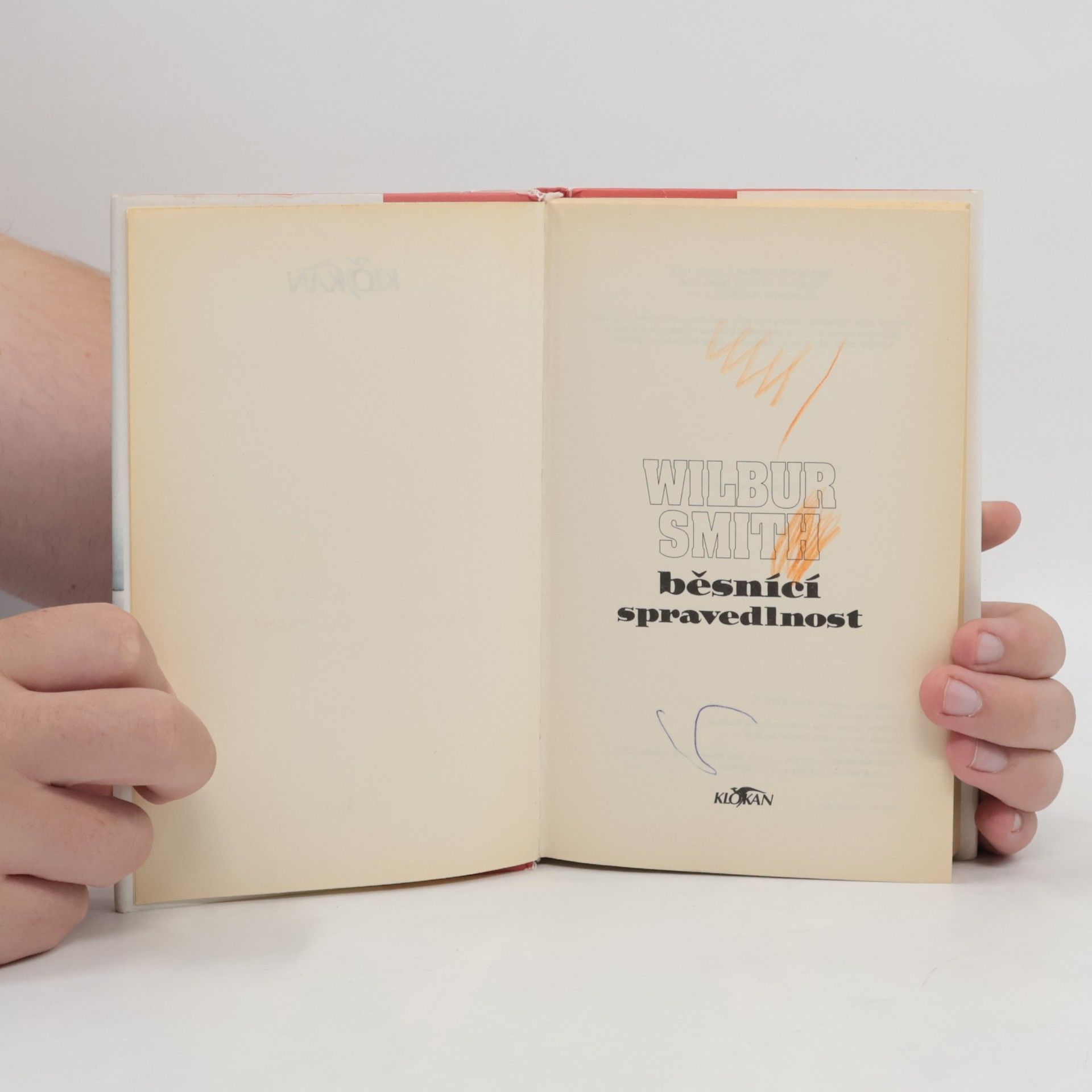 Wilbur A. Smith Běsnící spravedlnost