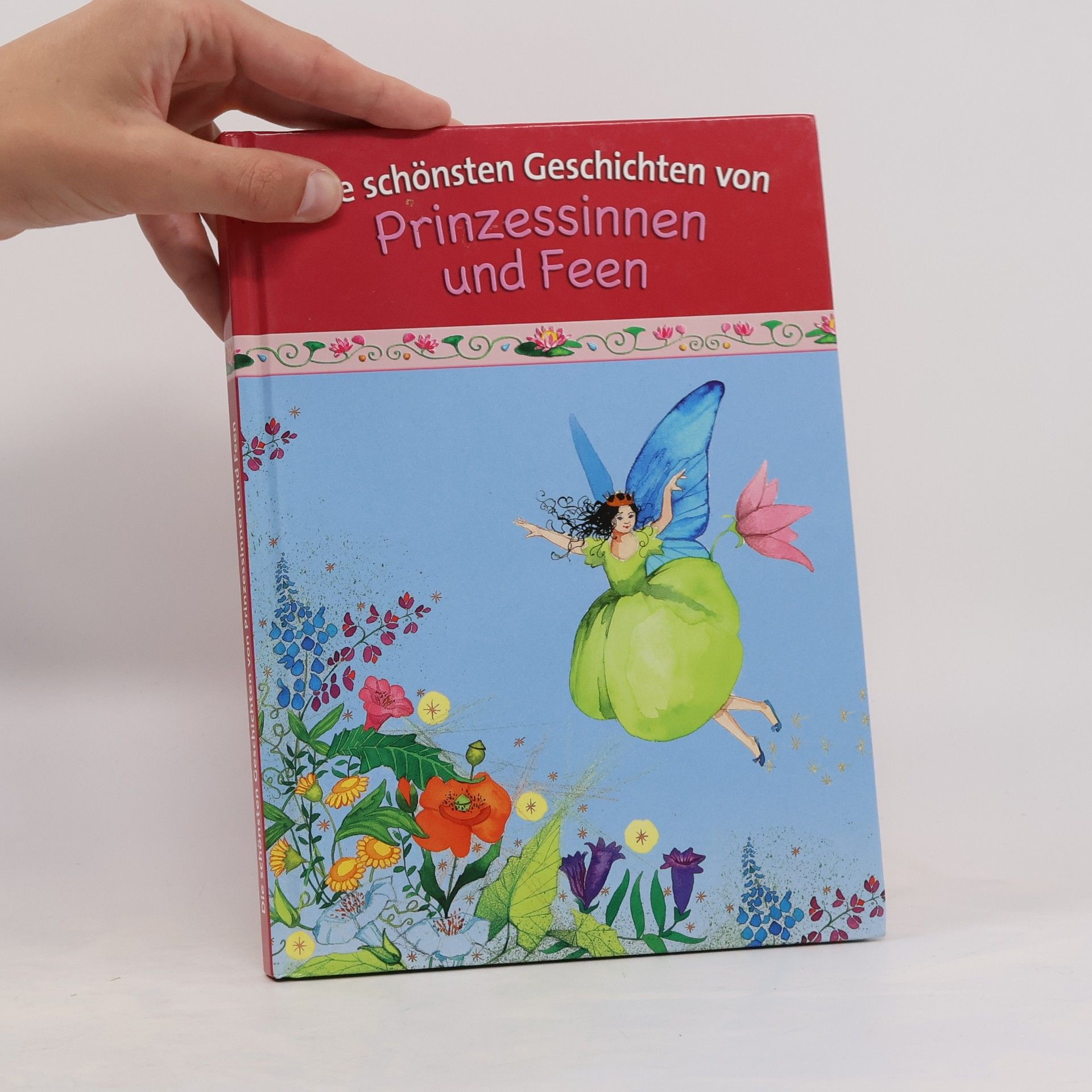 Autorenkollektiv Prinzessinnen und Feen