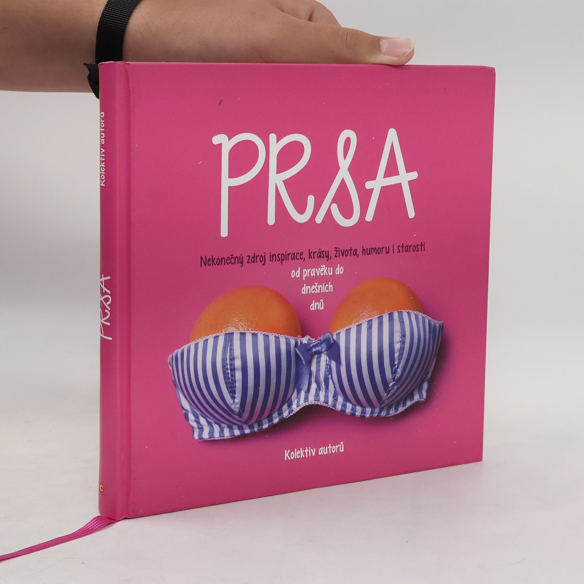 Kolektiv autorů Prsa
