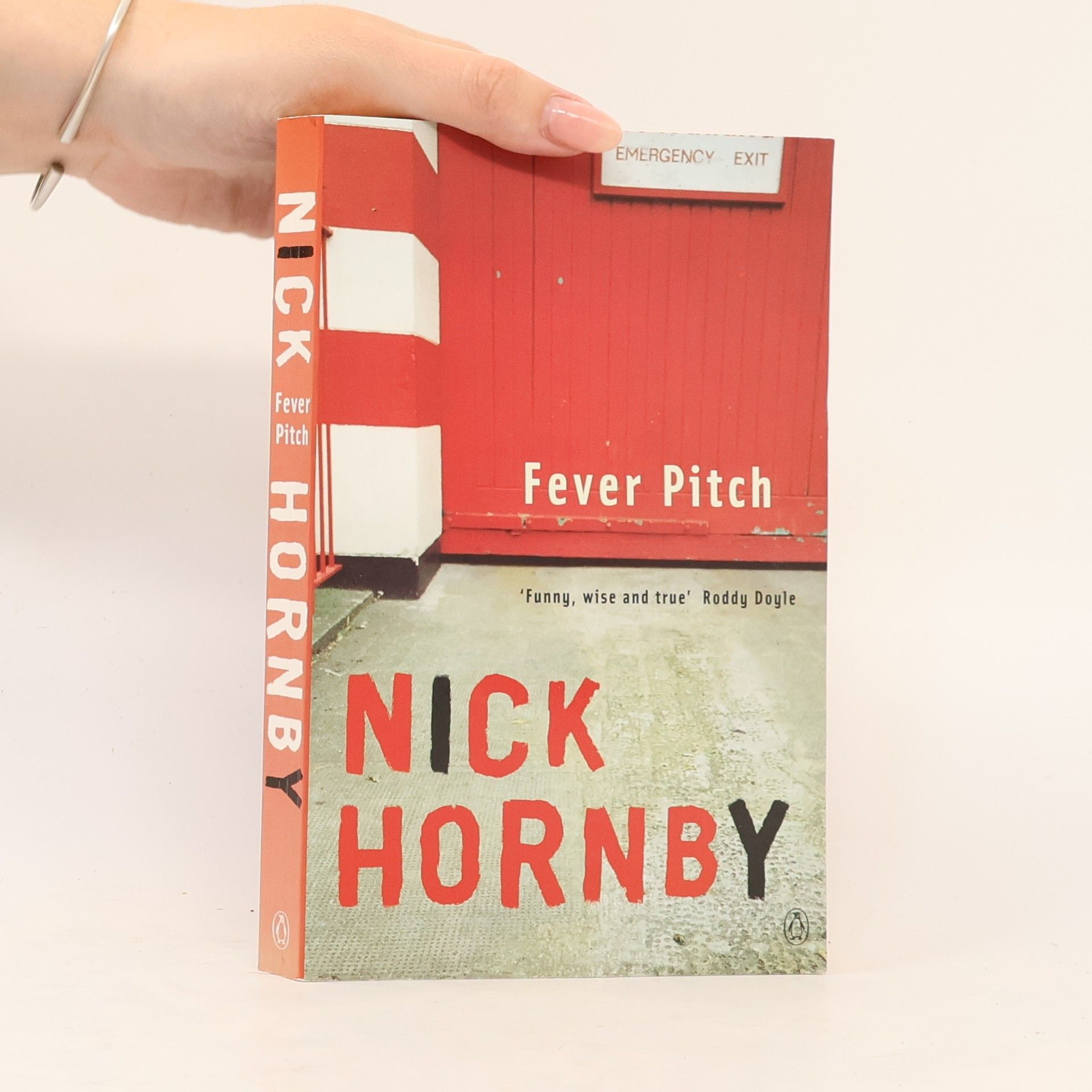 Nick Hornby Fever Pitch