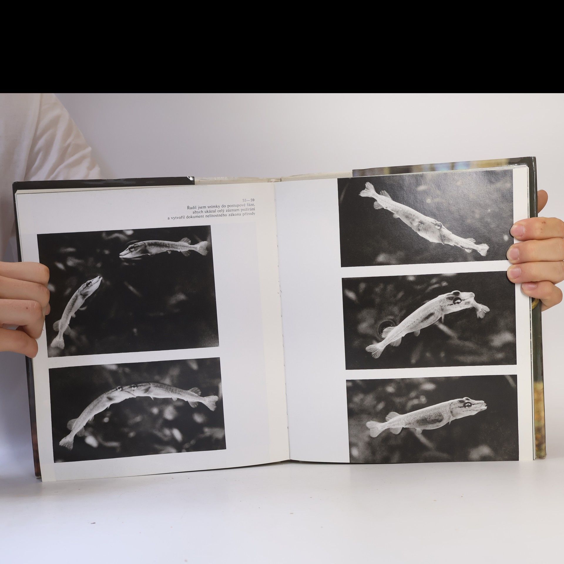 Sláva Štochl Lovcem živé krásy