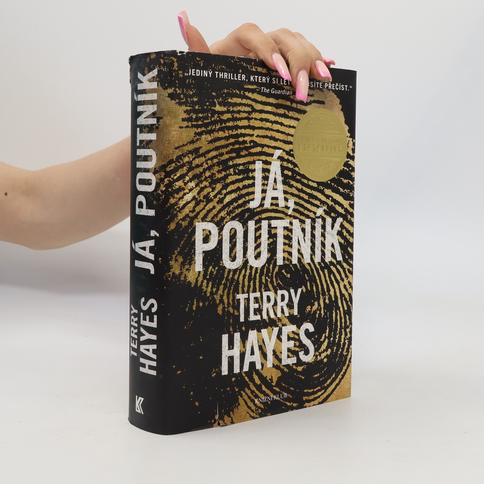 Terry Hayes Já, Poutník