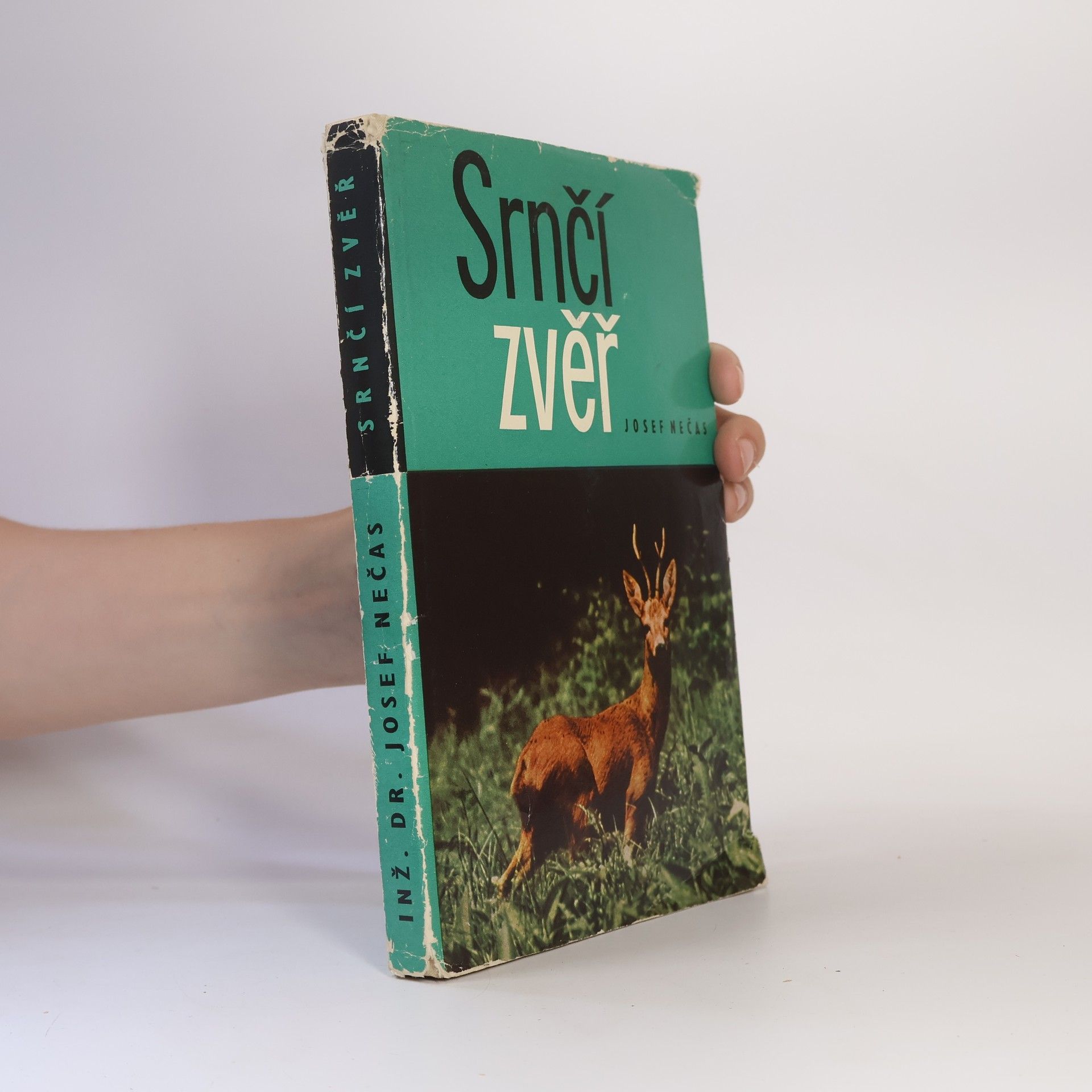 Josef Nečas Srnčí zvěř