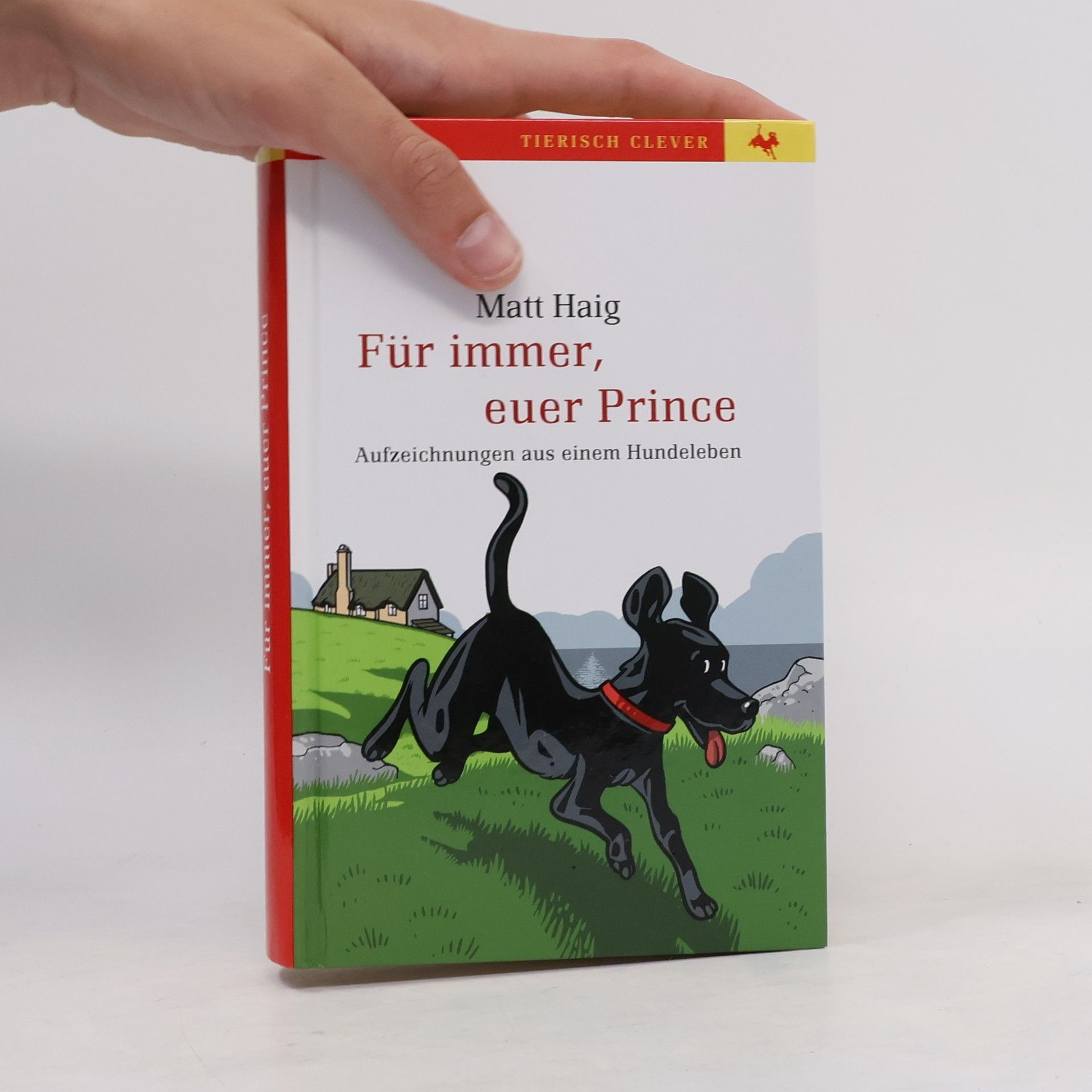 Matt Haig Für immer, euer Prince