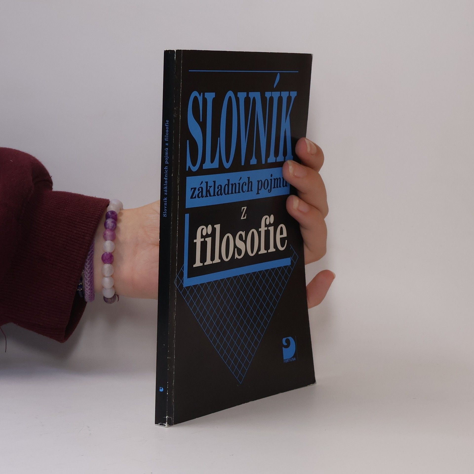 Petr Nesvadba Slovník základních pojmů z filosofie