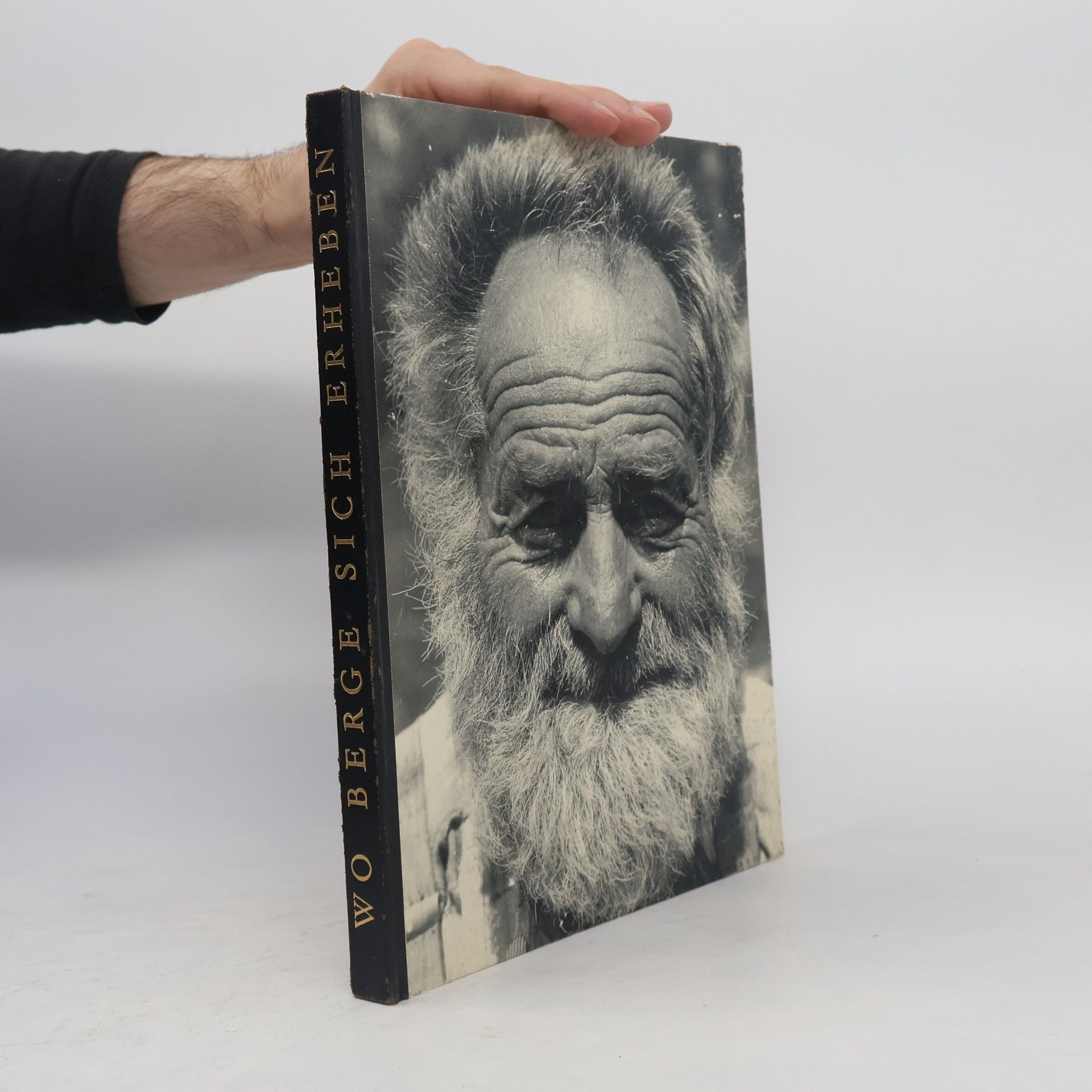 Willy Wagner Wo Berge sich erheben