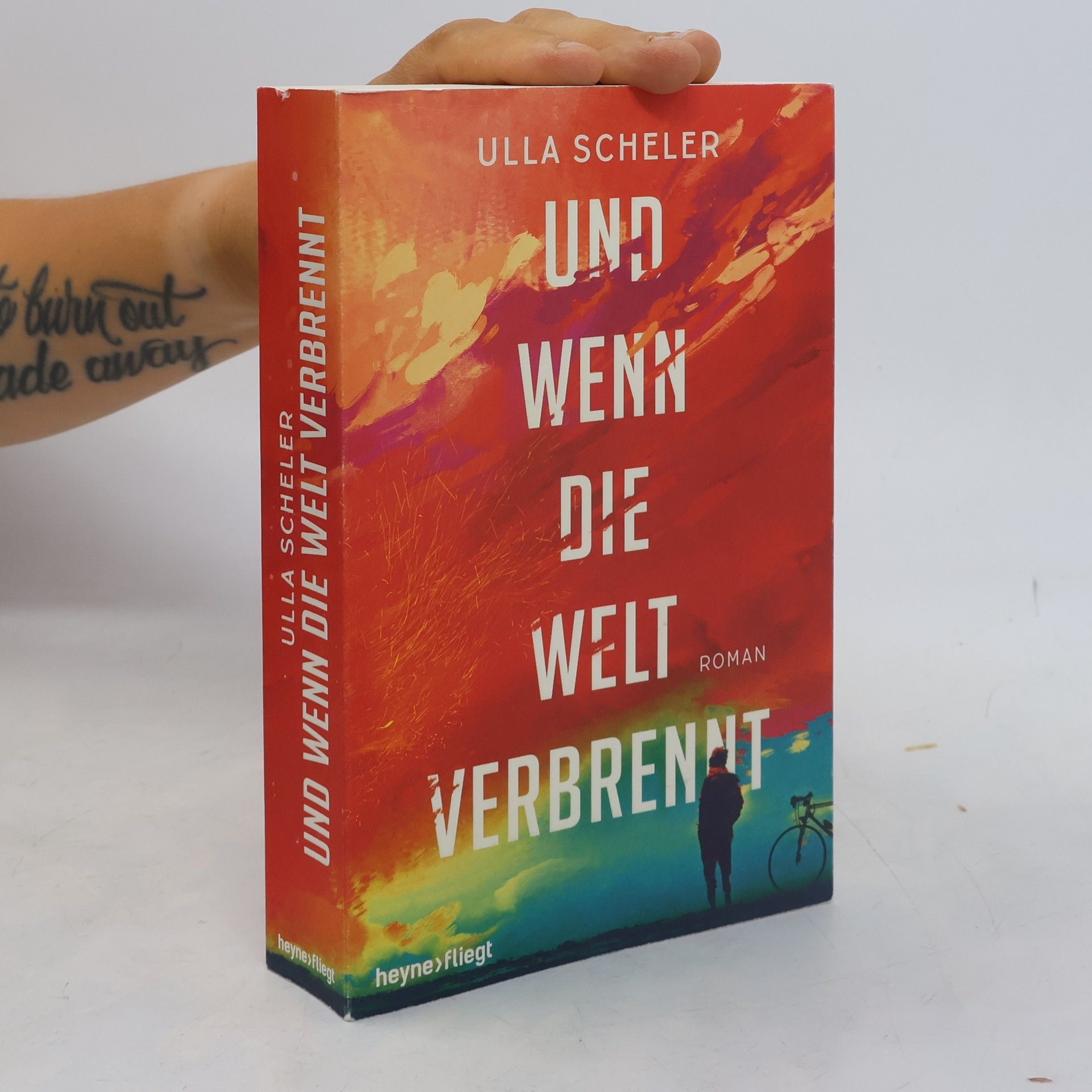 Ulla Scheler Und wenn die Welt verbrennt