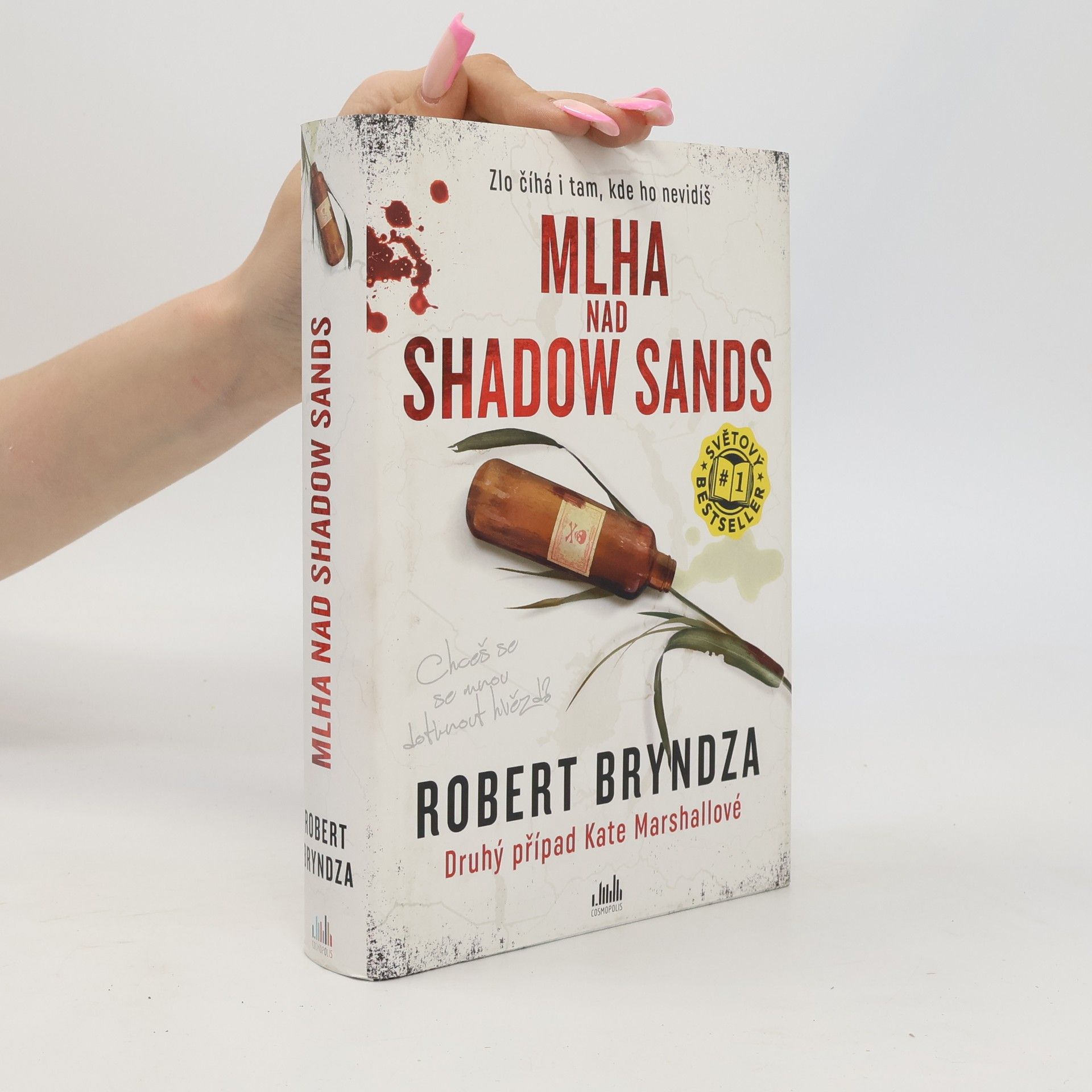 Robert Bryndza Mlha nad Shadow Sands