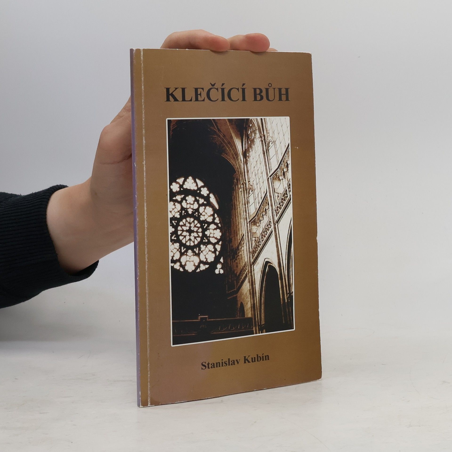 Stanislav Kubín Klečící bůh