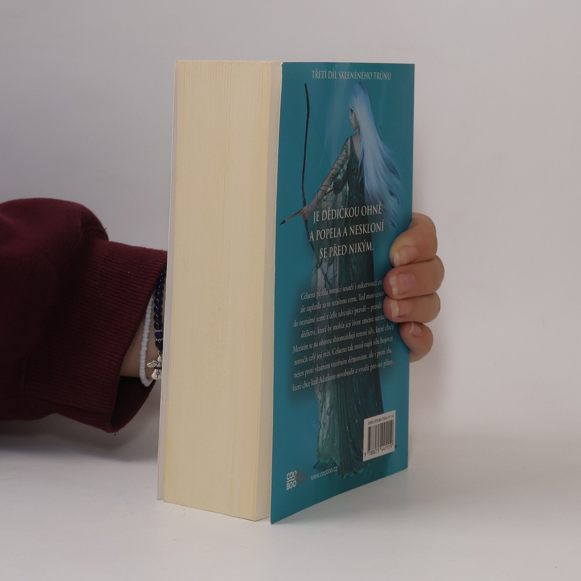 Sarah J. Maas Dědička ohně
