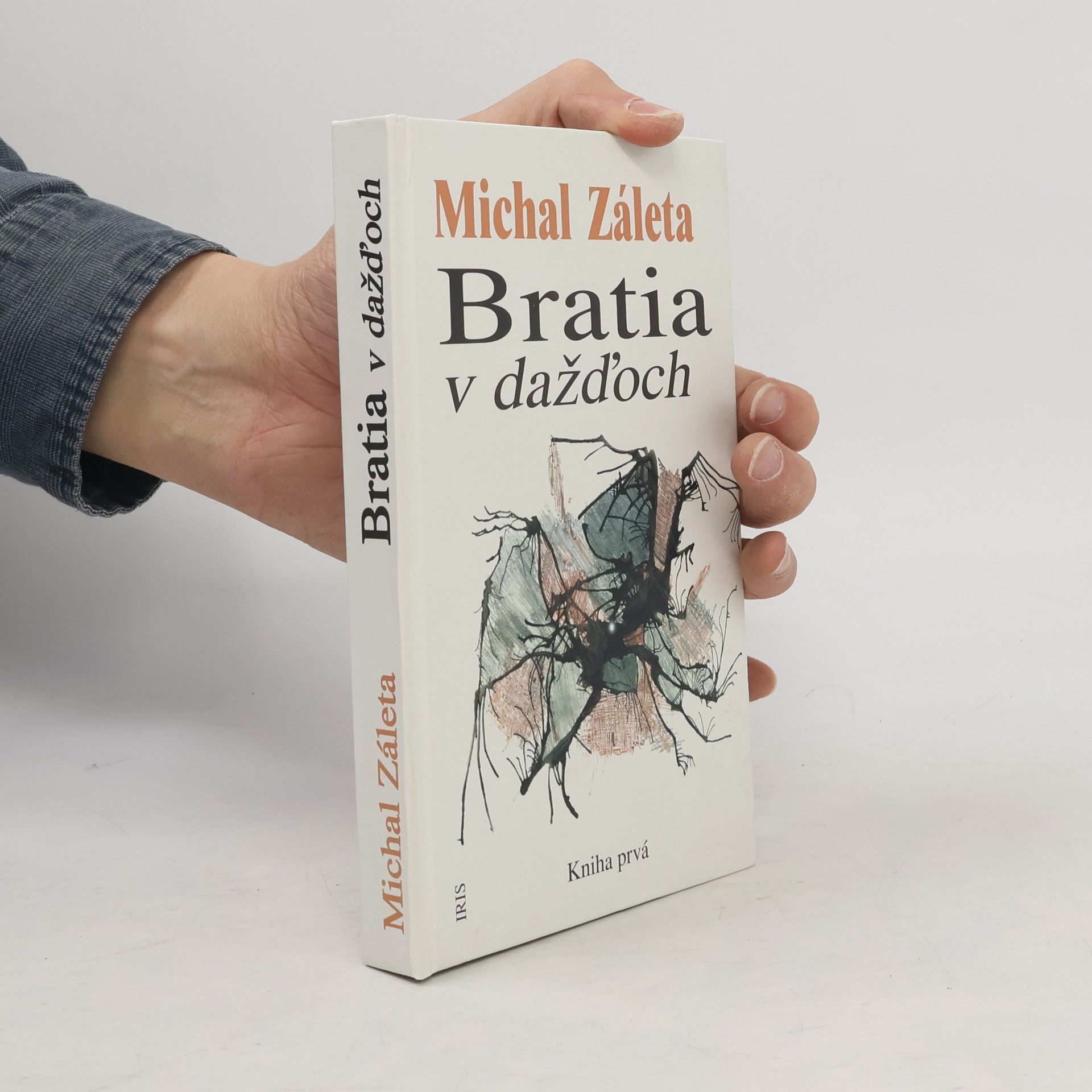 Michal Záleta Bratia v dažd̕och