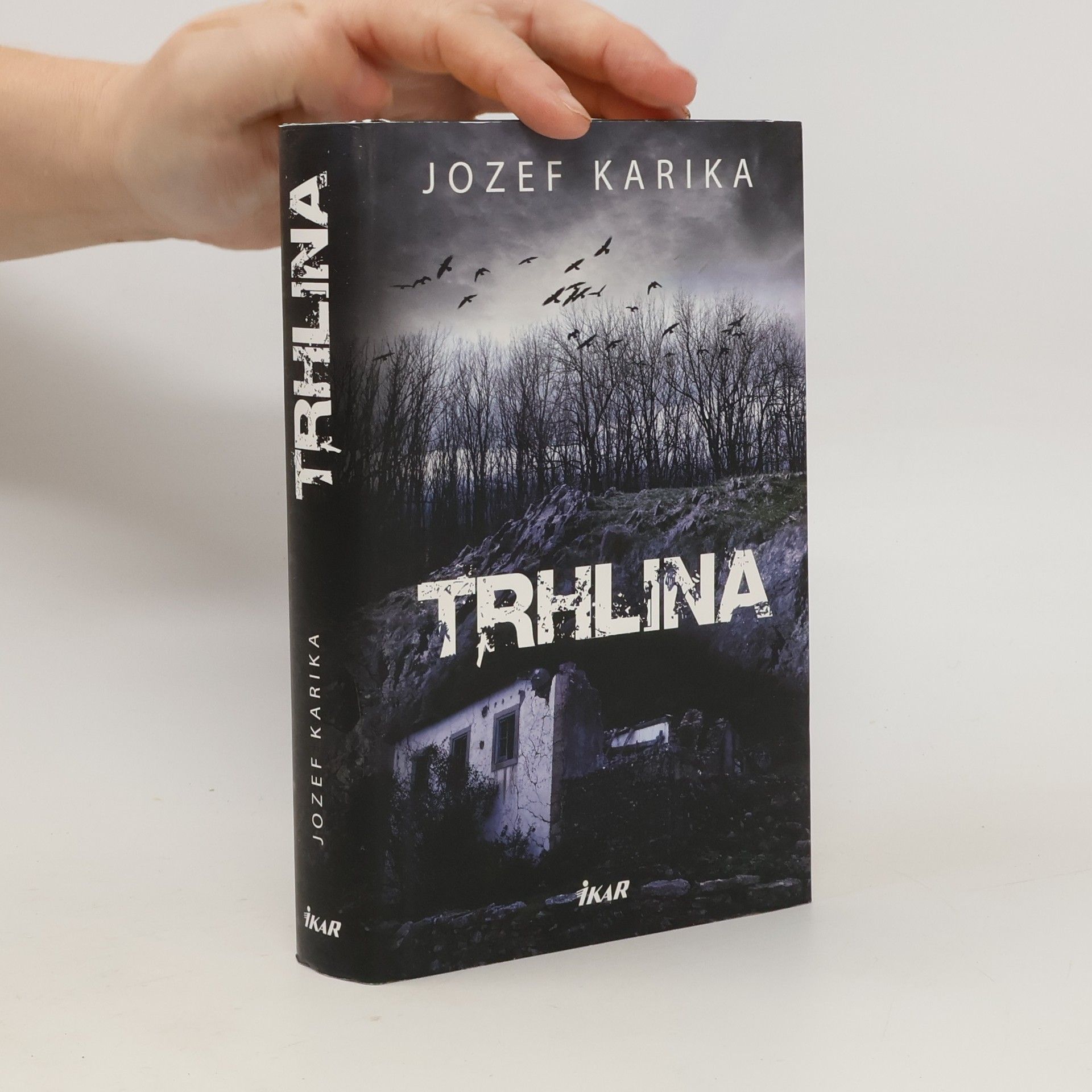 Jozef Karika Trhlina