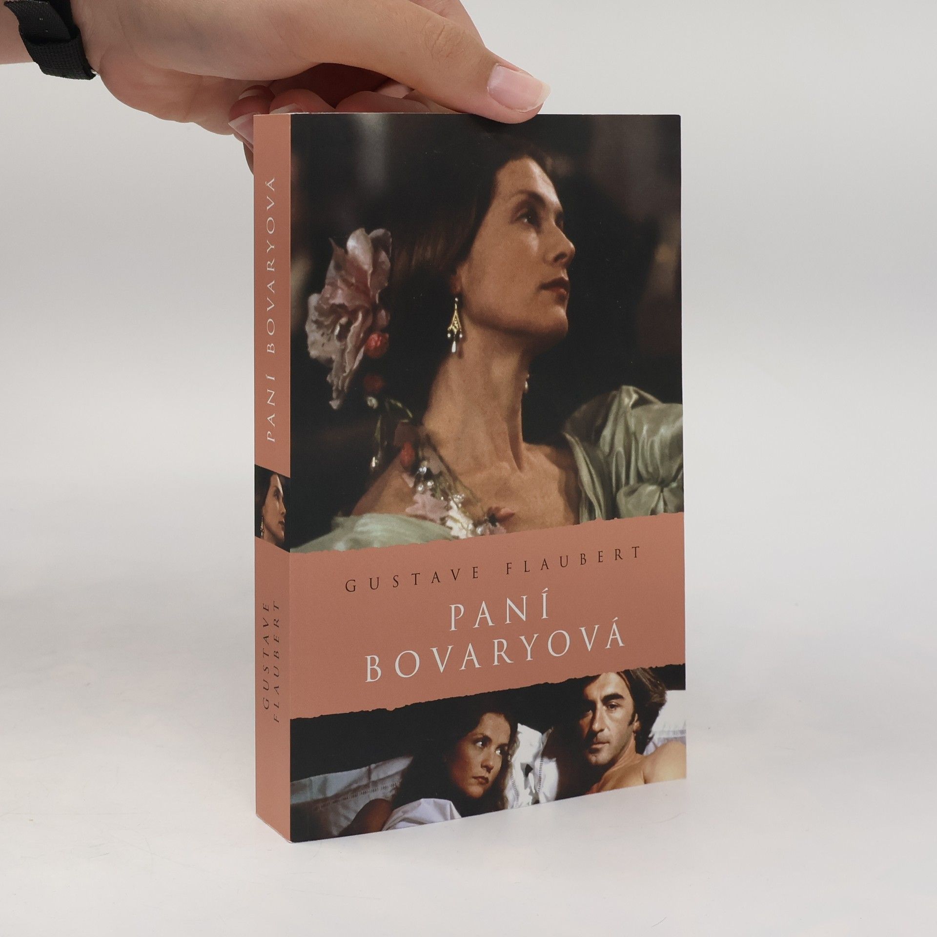 Gustave Flaubert Paní Bovaryová