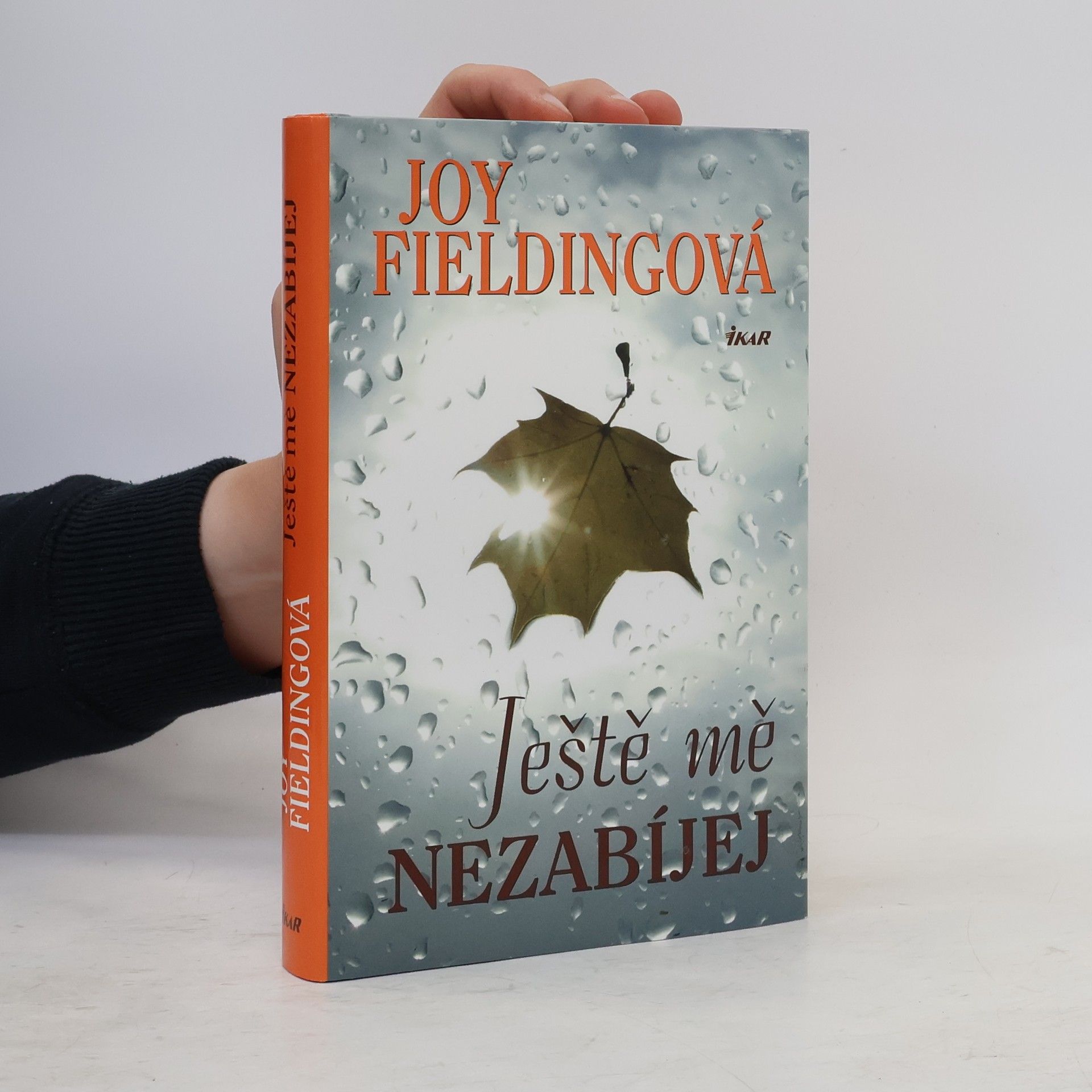 Joy Fielding Ještě mě nezabíjej