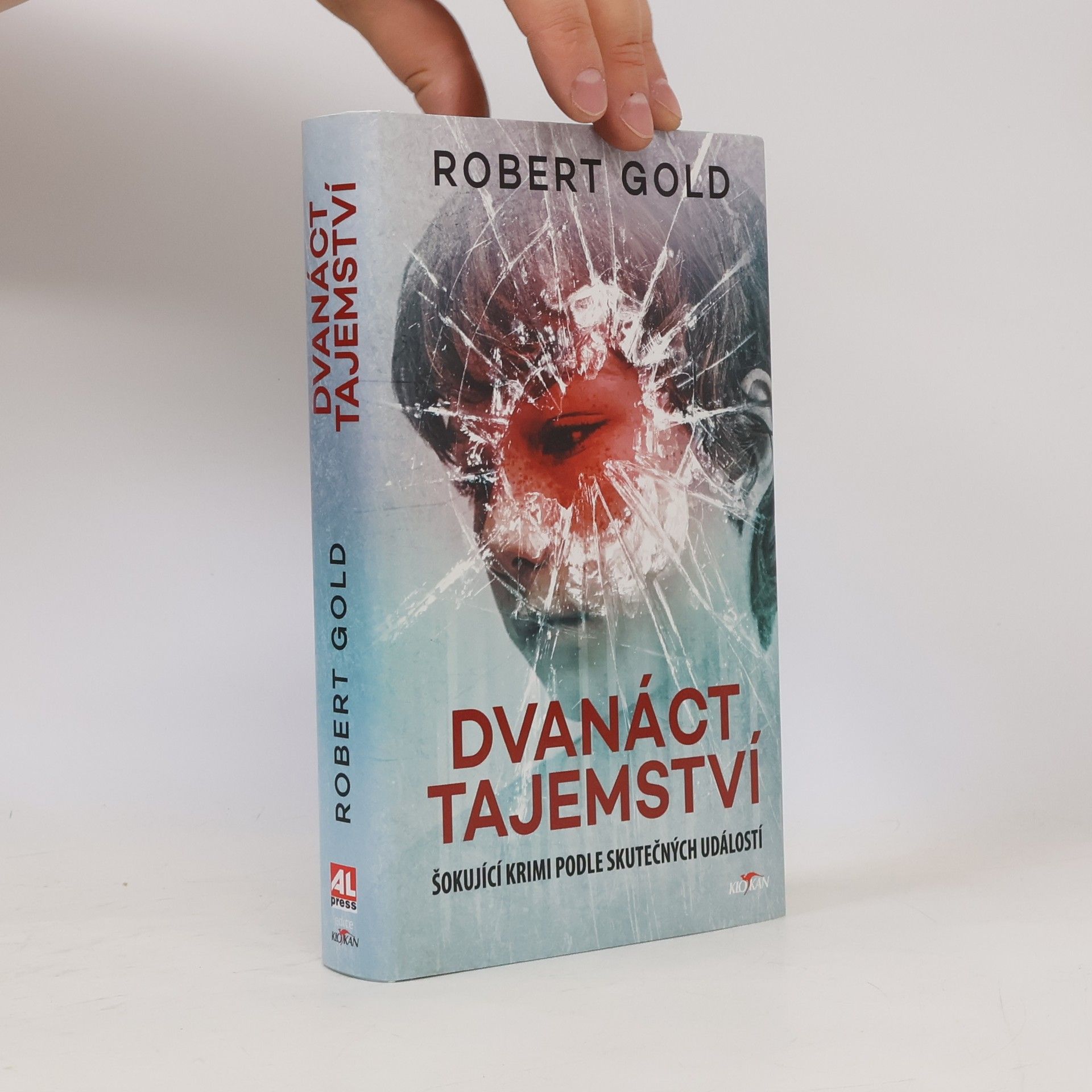 Robert Gold Dvanáct tajemství