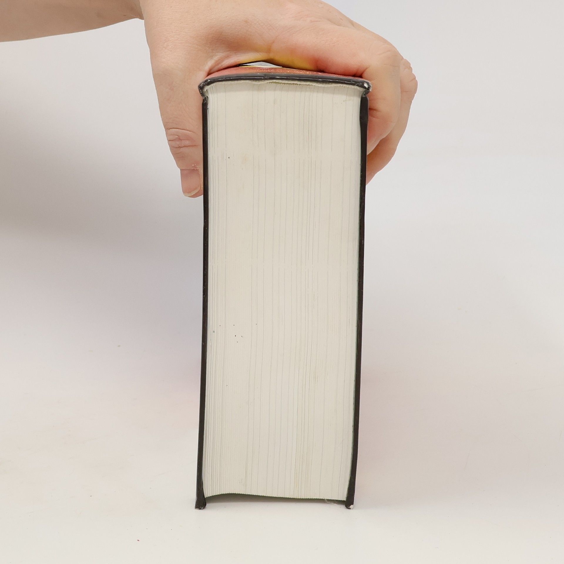 Simon J. Robinson C# : programujeme profesionálně