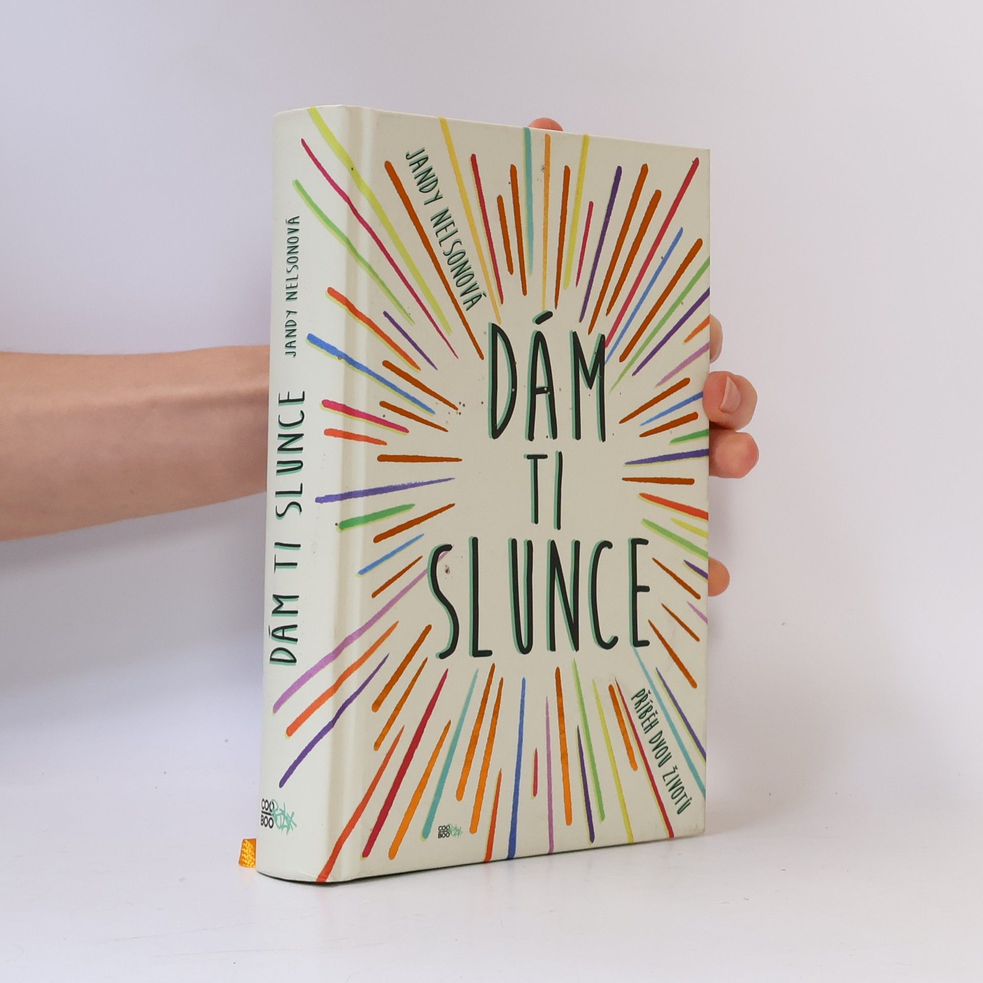 Jandy Nelson Dám ti slunce