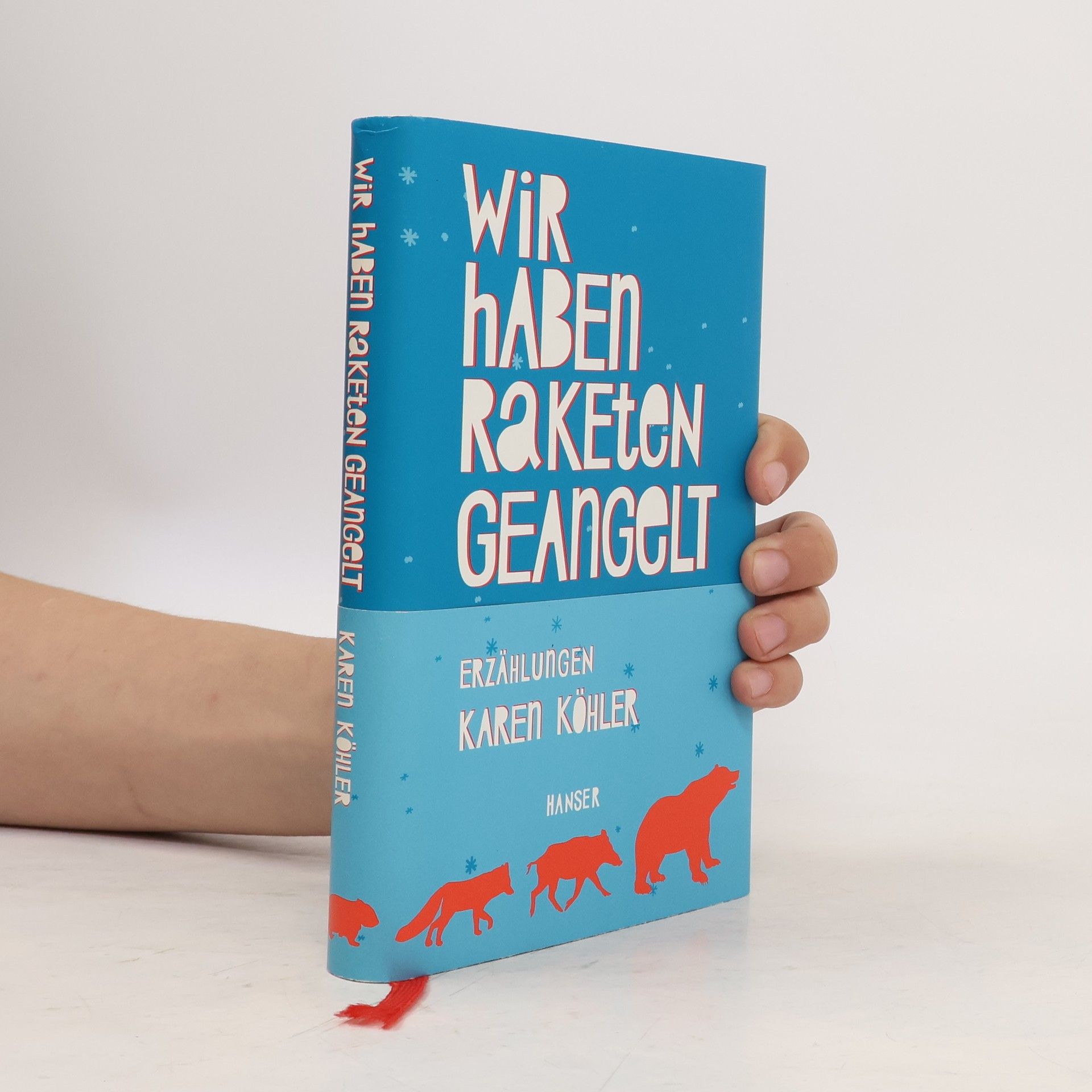 Karen Köhler Wir haben Raketen geangelt