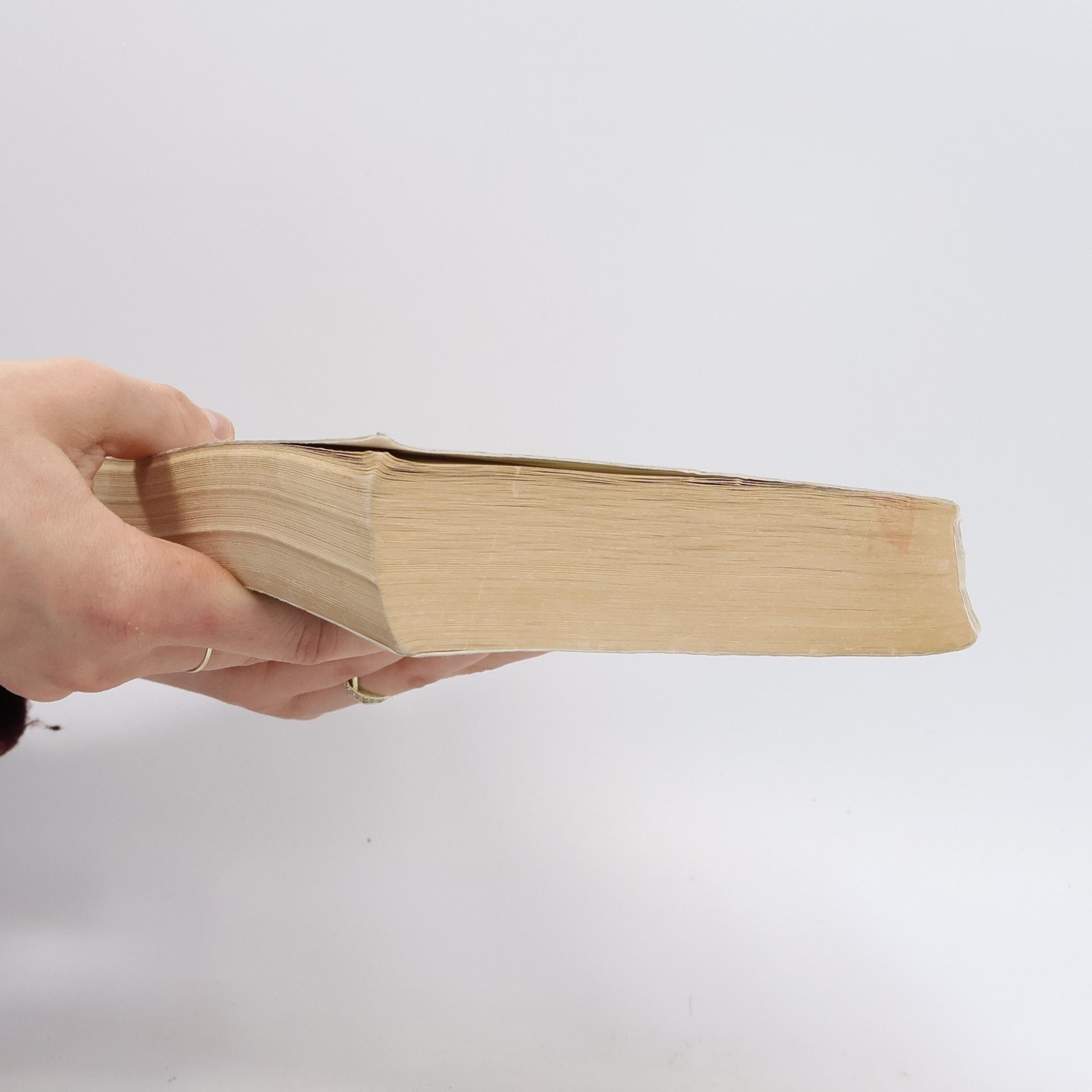 Sally Beauman Eine verhängnisvolle Wahrheit