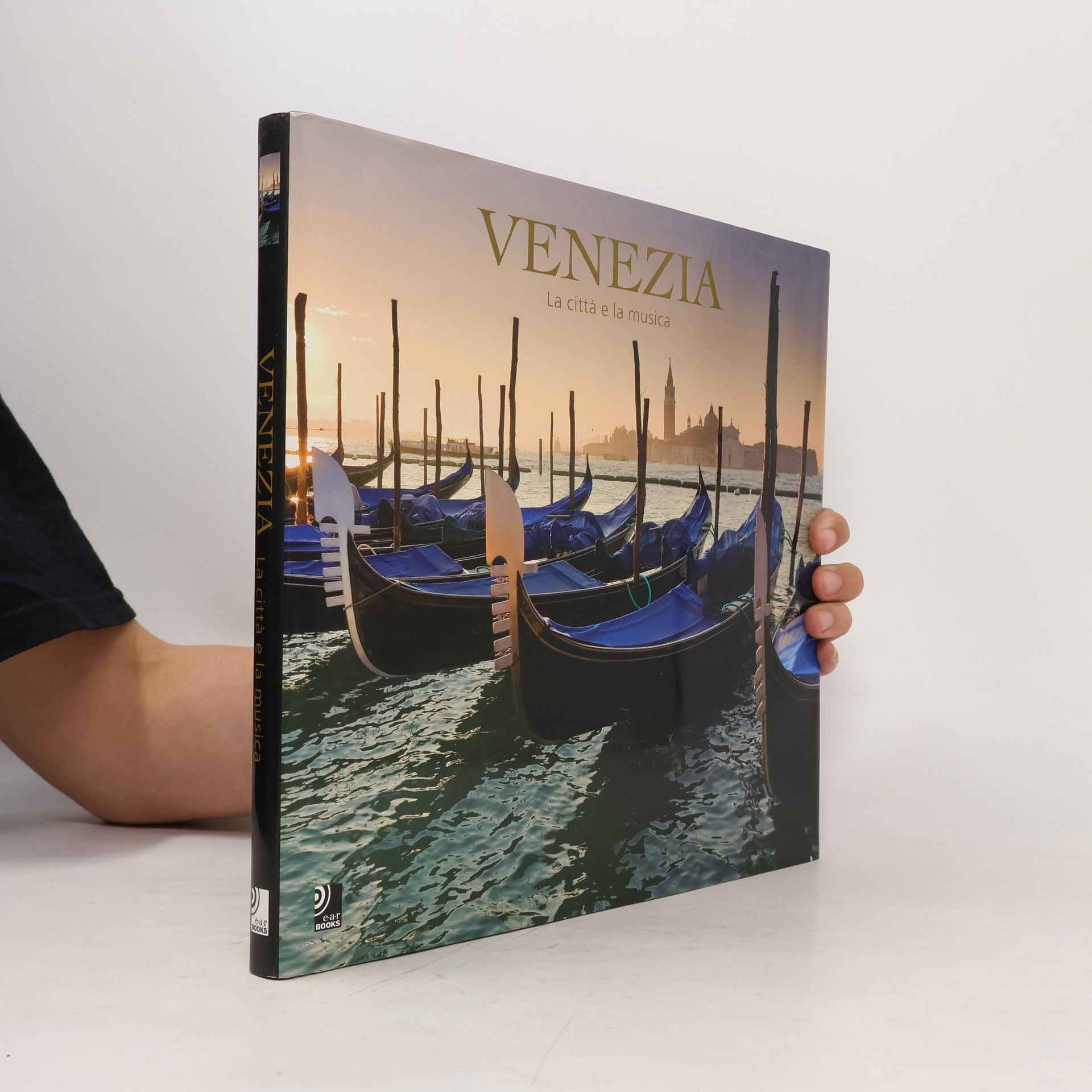 Günter Grüner Venezia